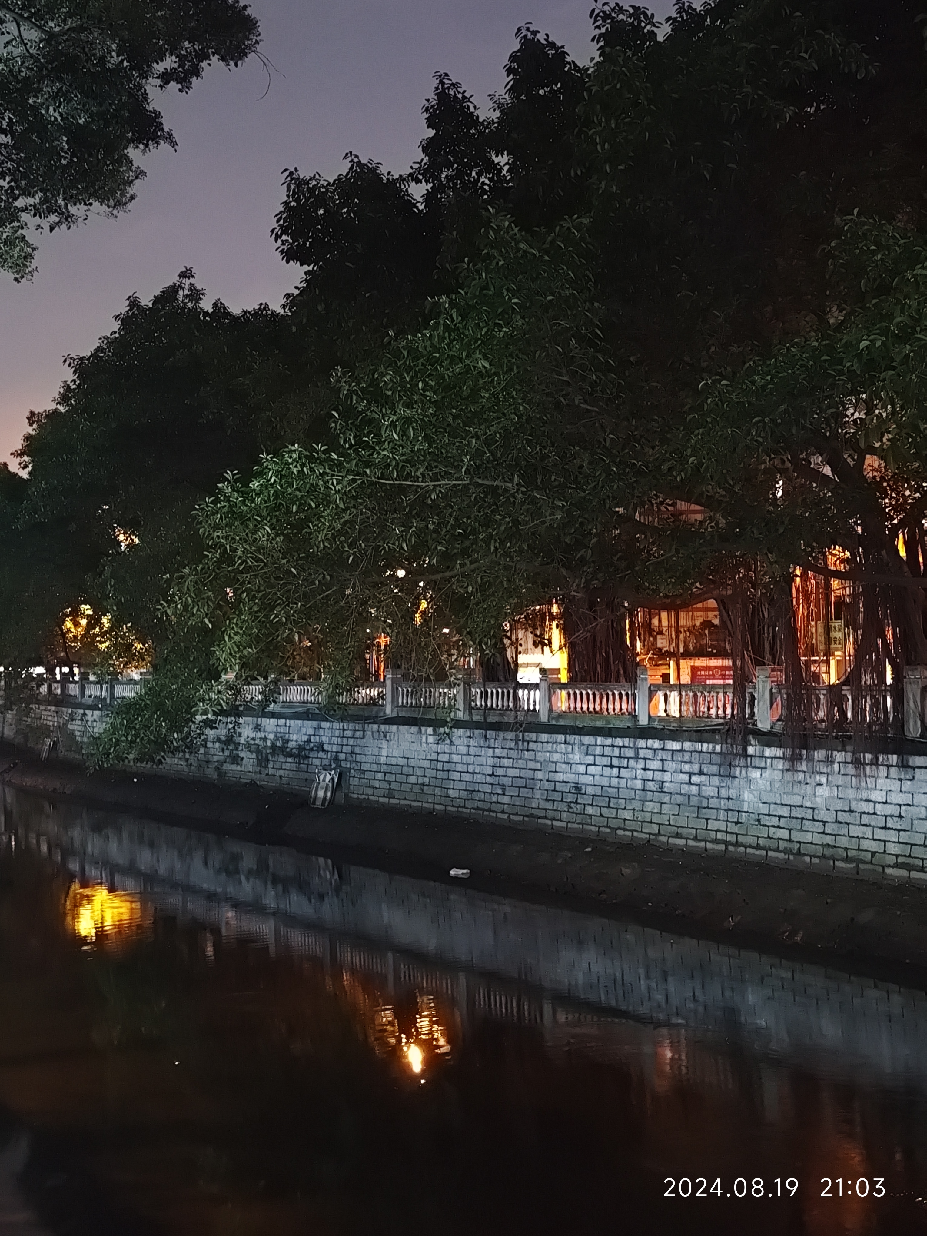 河边的夜景,宁静而美丽,是大自然赋予的治愈之地.