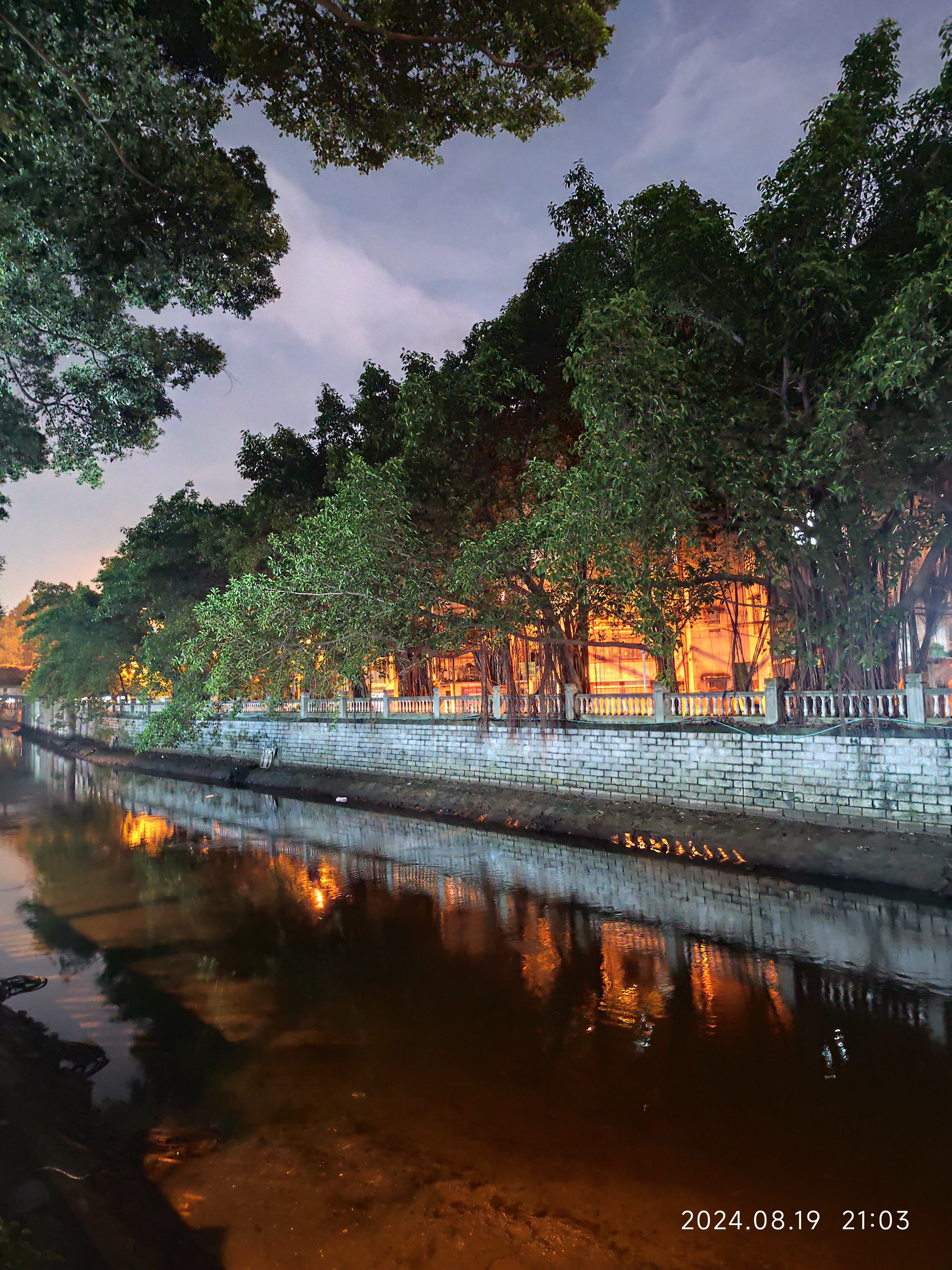 河边的夜景,宁静而美丽,是大自然赋予的治愈之地.