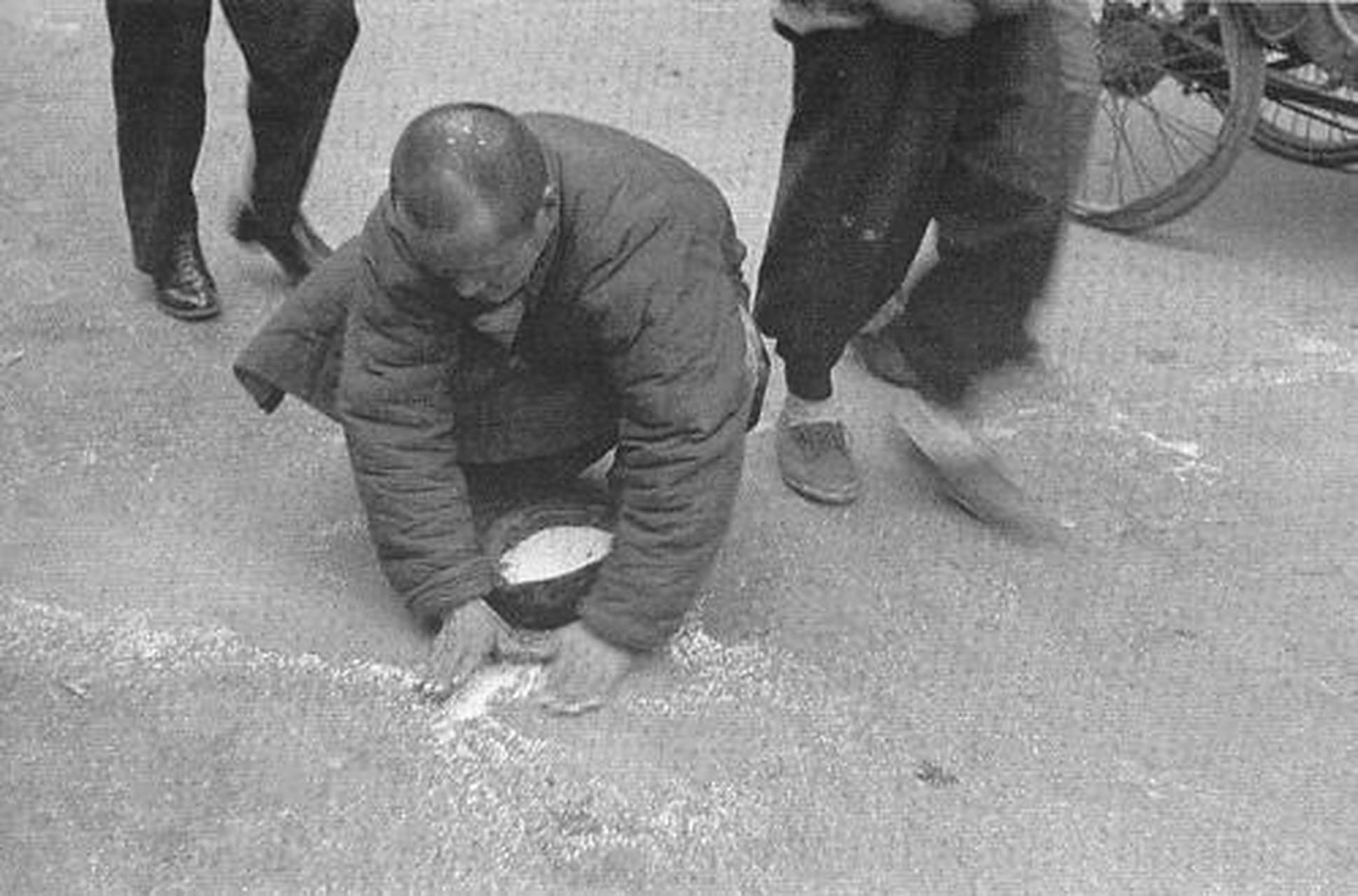 吃不饱的年代,穷苦人员不放过地上任何一粒粮食.