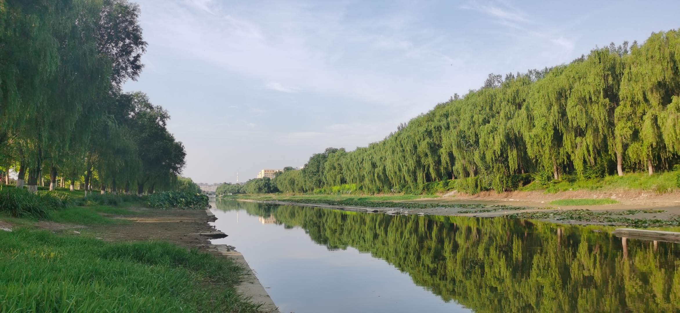 这边山东聊城开发区小湄河湿地公园.小湄河湿地公园清晨的美丽景色