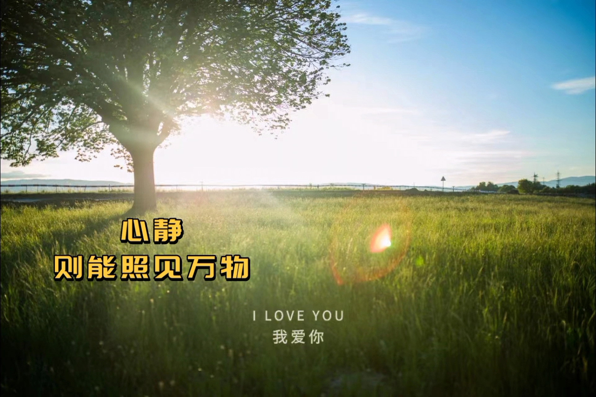 唯有心静,身外的繁华 才不至于扭曲和浮躁, 才能倾听到内心真实的声音