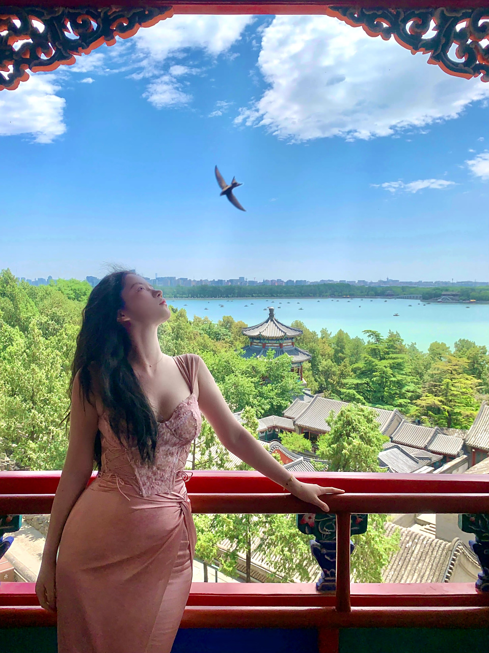 金珠岚[锦鲤附体]