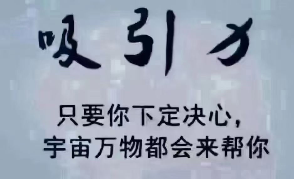 墨色吸引子展现坚定意志