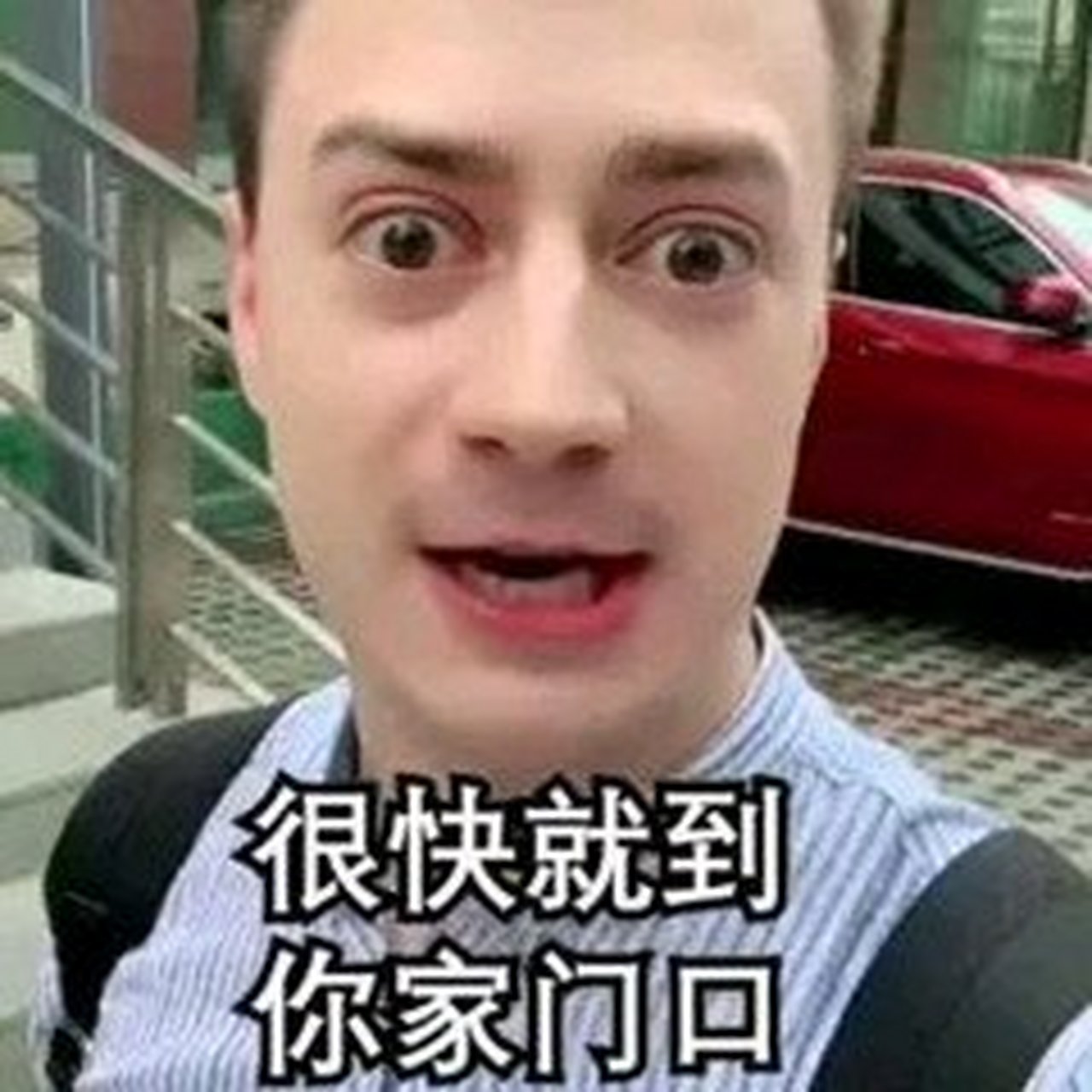 伏拉夫表情包图片