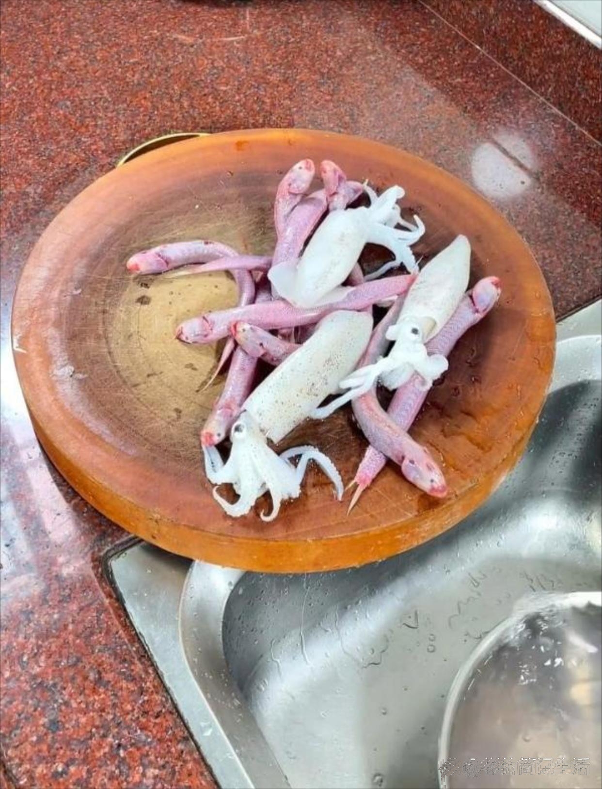 带我去吃好吃的,还开了一个多小时,就是为了吃这个,怎么看着有点吓人