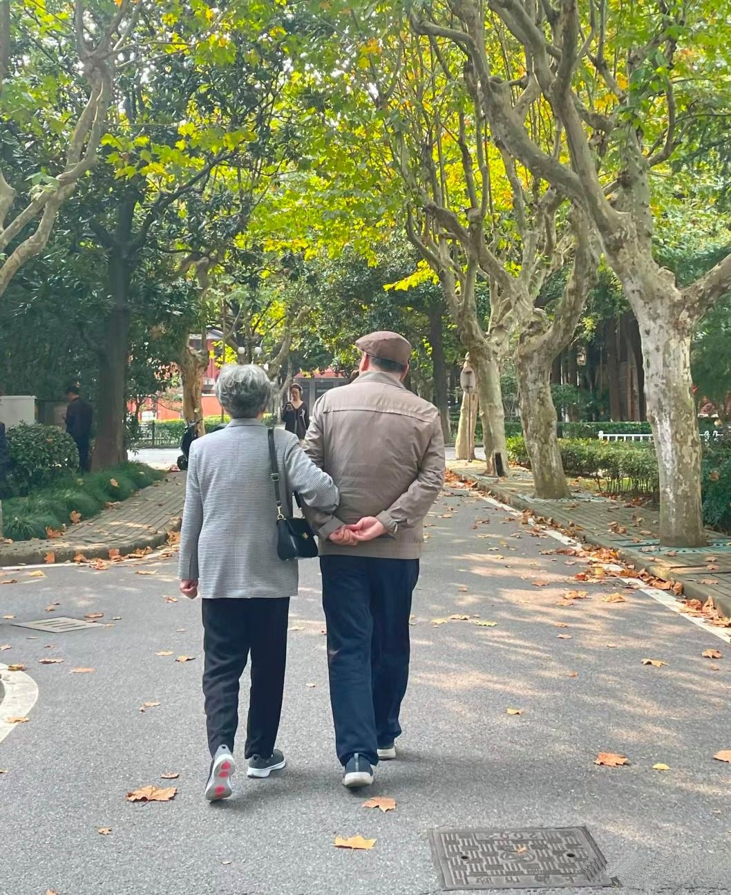 携手走过漫长岁月,彼此陪伴,相互扶持