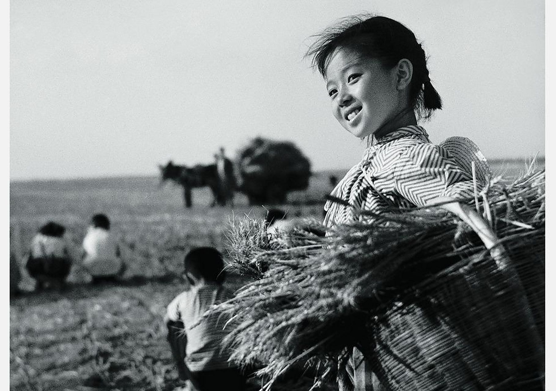 历史老照片# 改革开放初期,拾稻穗的小姑娘,你们小时候都拾过稻穗 ??