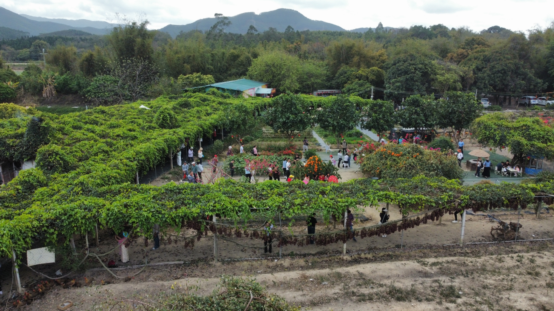 今天我要给你们安利一个超绝的地方