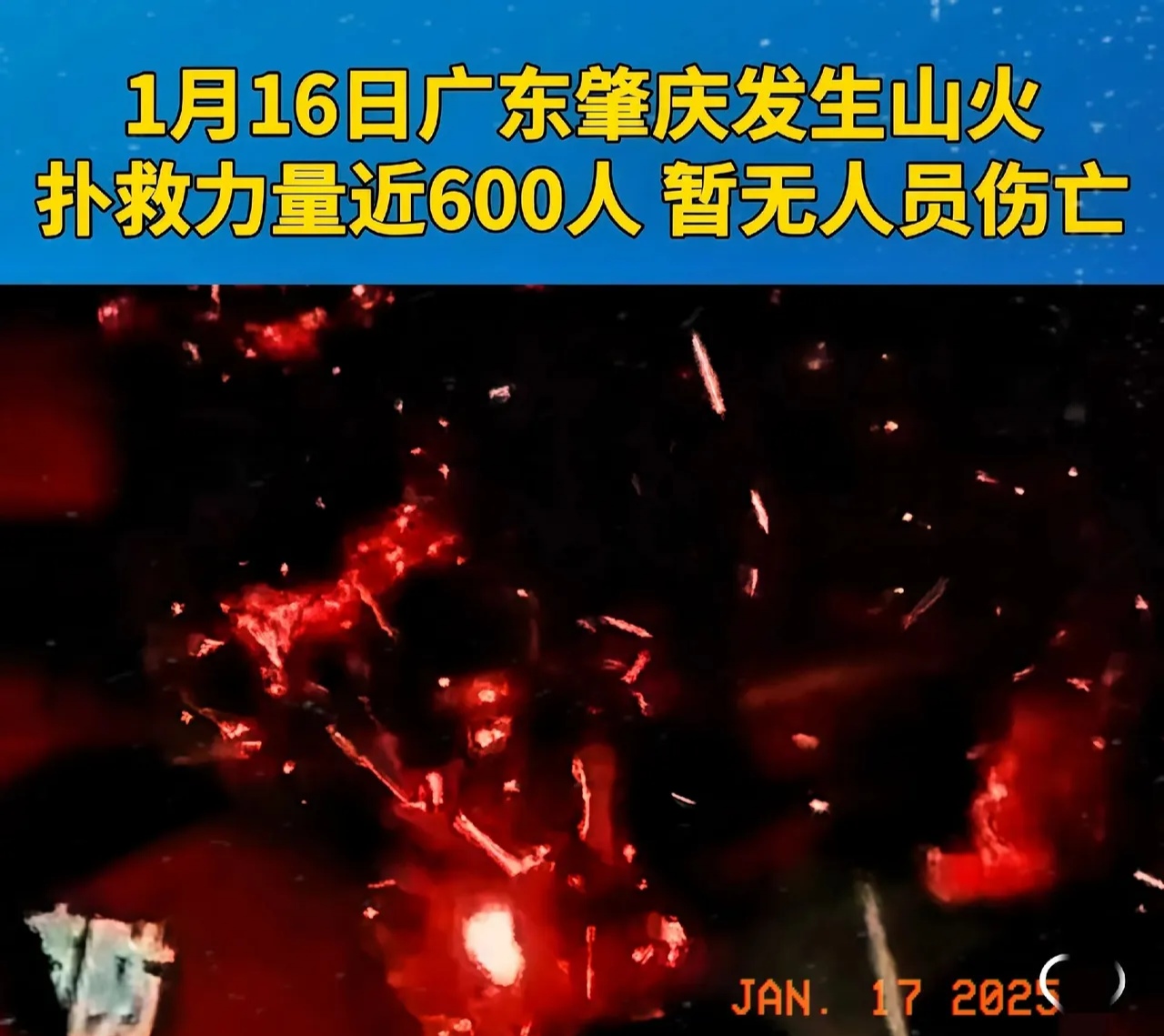 广东肇庆山火,昨天下午2点多钟,肇庆市高要区金利镇金利村发生山火