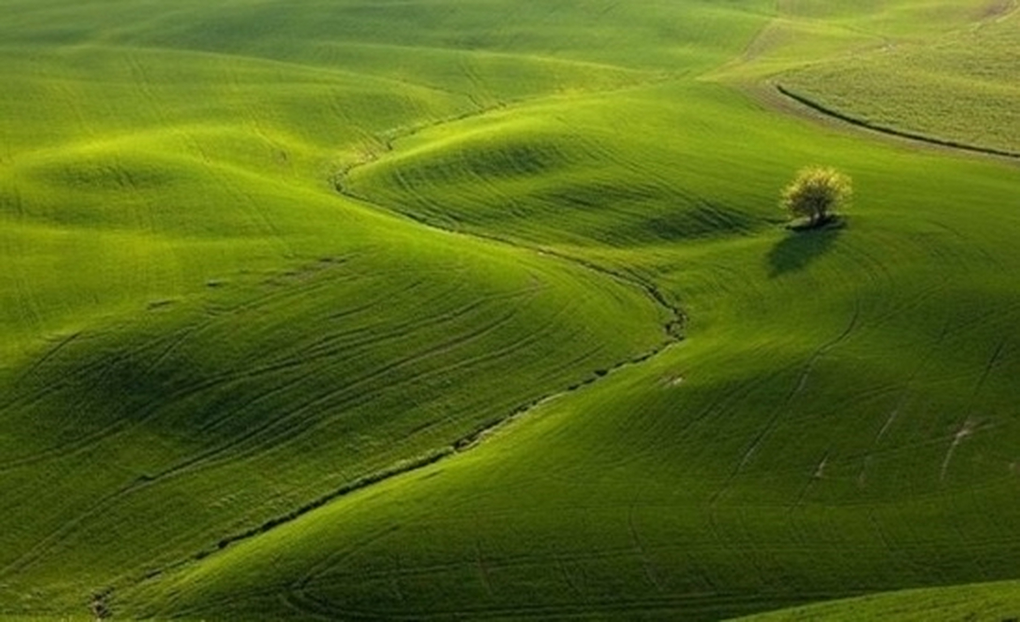 很喜欢的一组绿色系