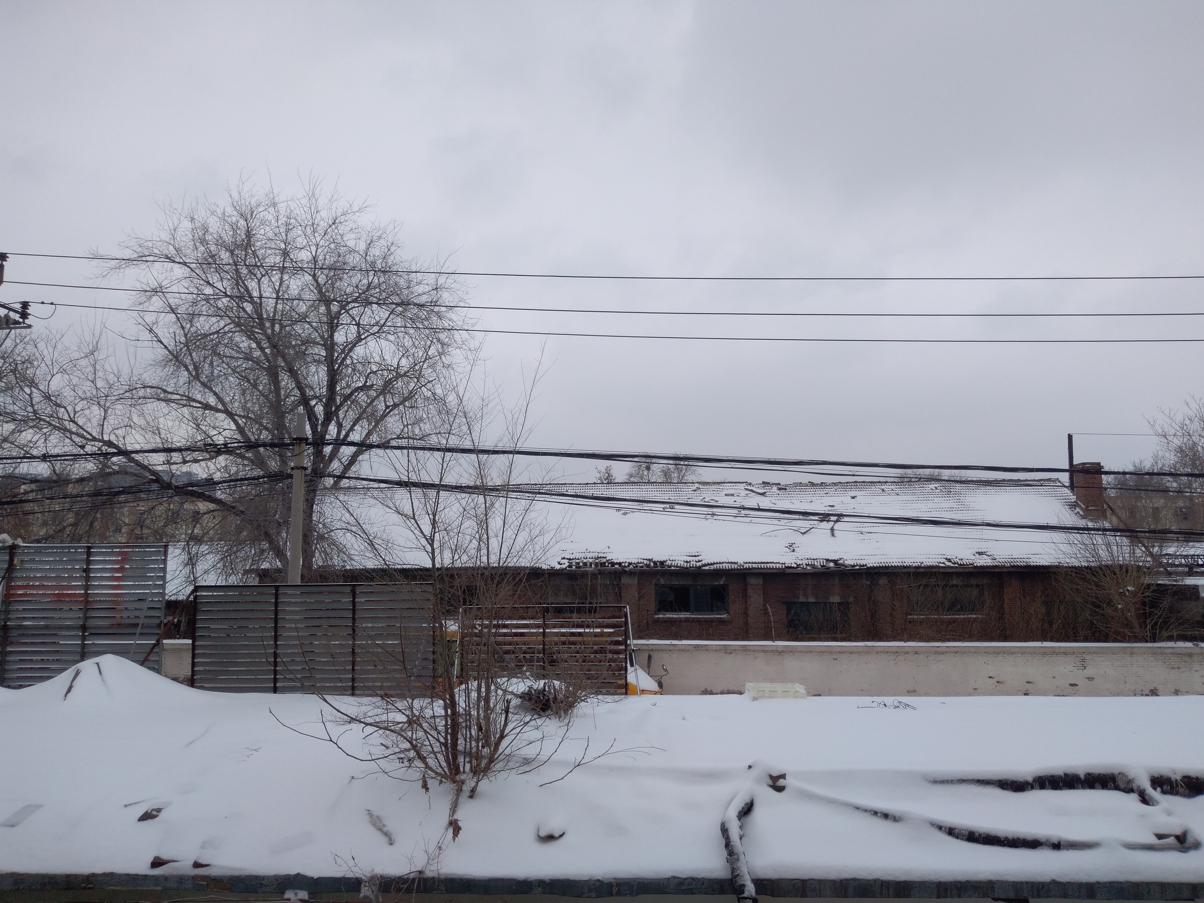 诗词歌赋交流地#  甲辰正月初雪  信柳方萌小阳蕊 桃仙初绽报春蕾 忽