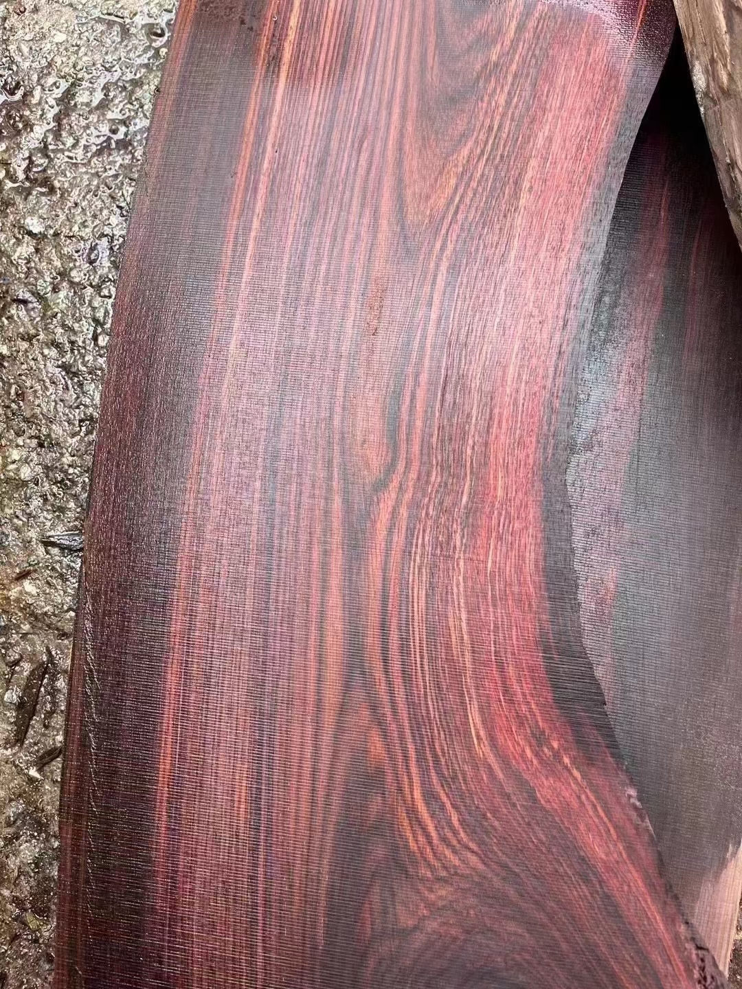 几万一吨印度酸枝如果能充当大红酸枝身价能秒变几十万 做木材的朋友