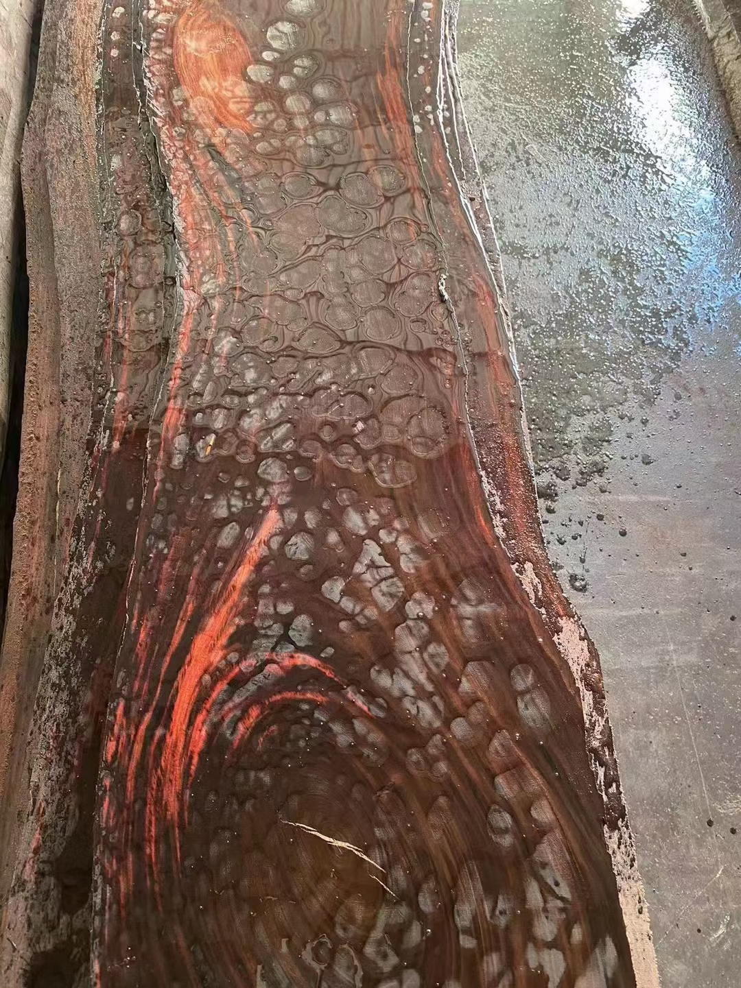 几万一吨印度酸枝如果能充当大红酸枝身价能秒变几十万 做木材的朋友