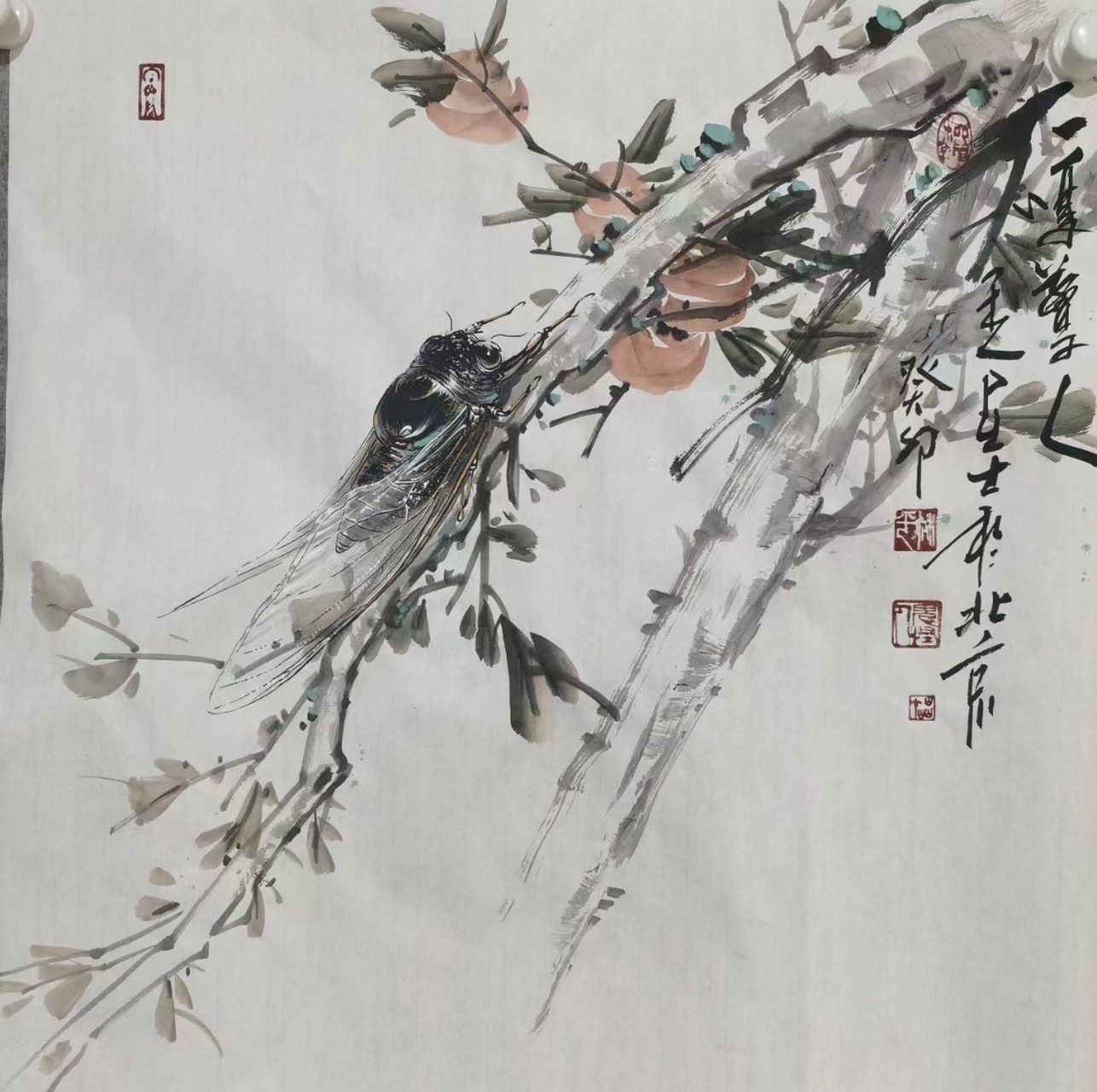 一组大写意水墨画跃然纸上,那是一只栩栩如生的蝉,它的生动形象让我