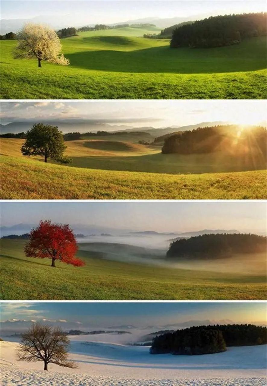 春夏秋冬四个季节风景图片