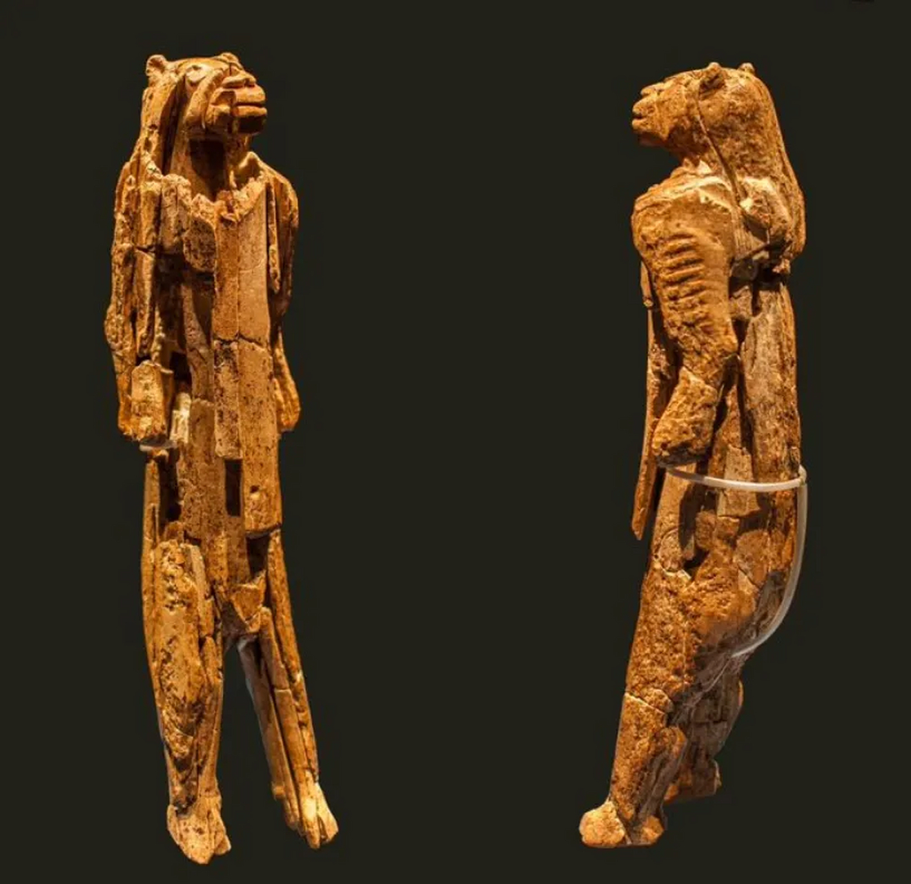 35000到41000年前,猛犸象牙雕刻而成的"狮子人"