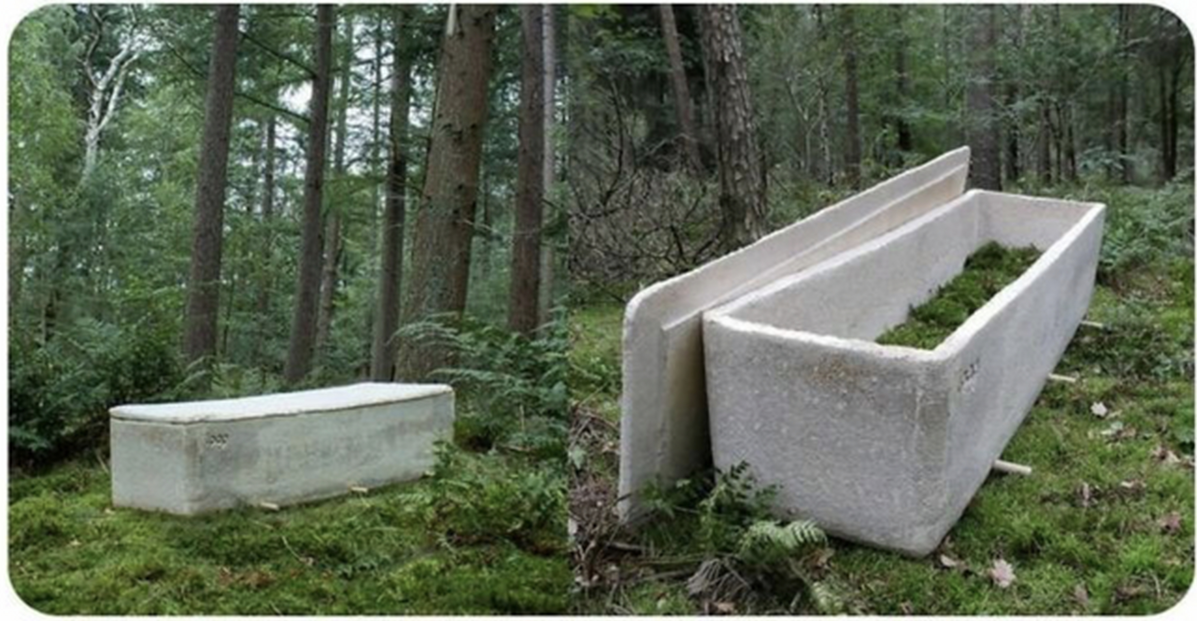 日本有一种特殊的棺材,被称为"蘑菇棺材".