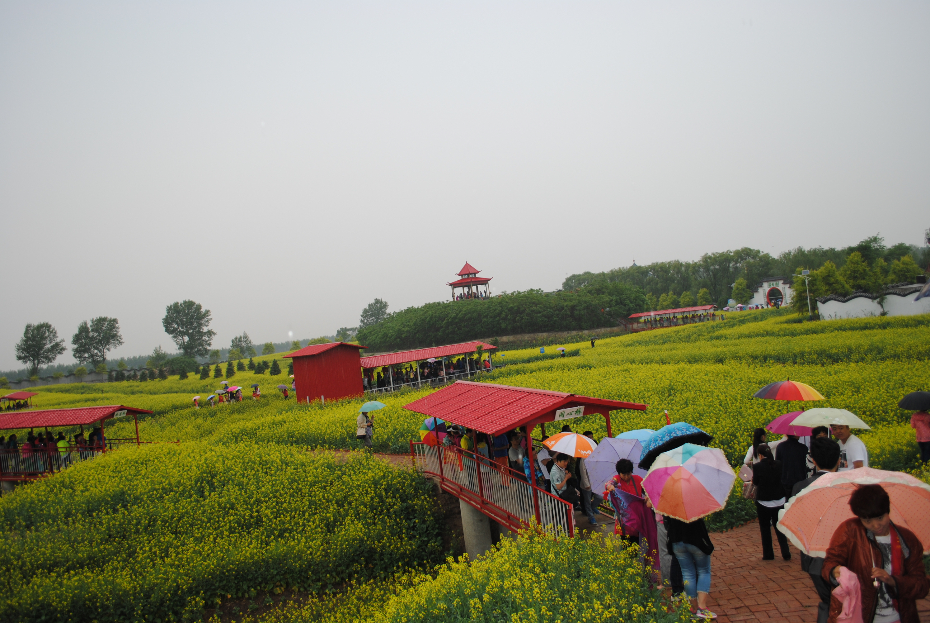 三农博览园景点图片图片