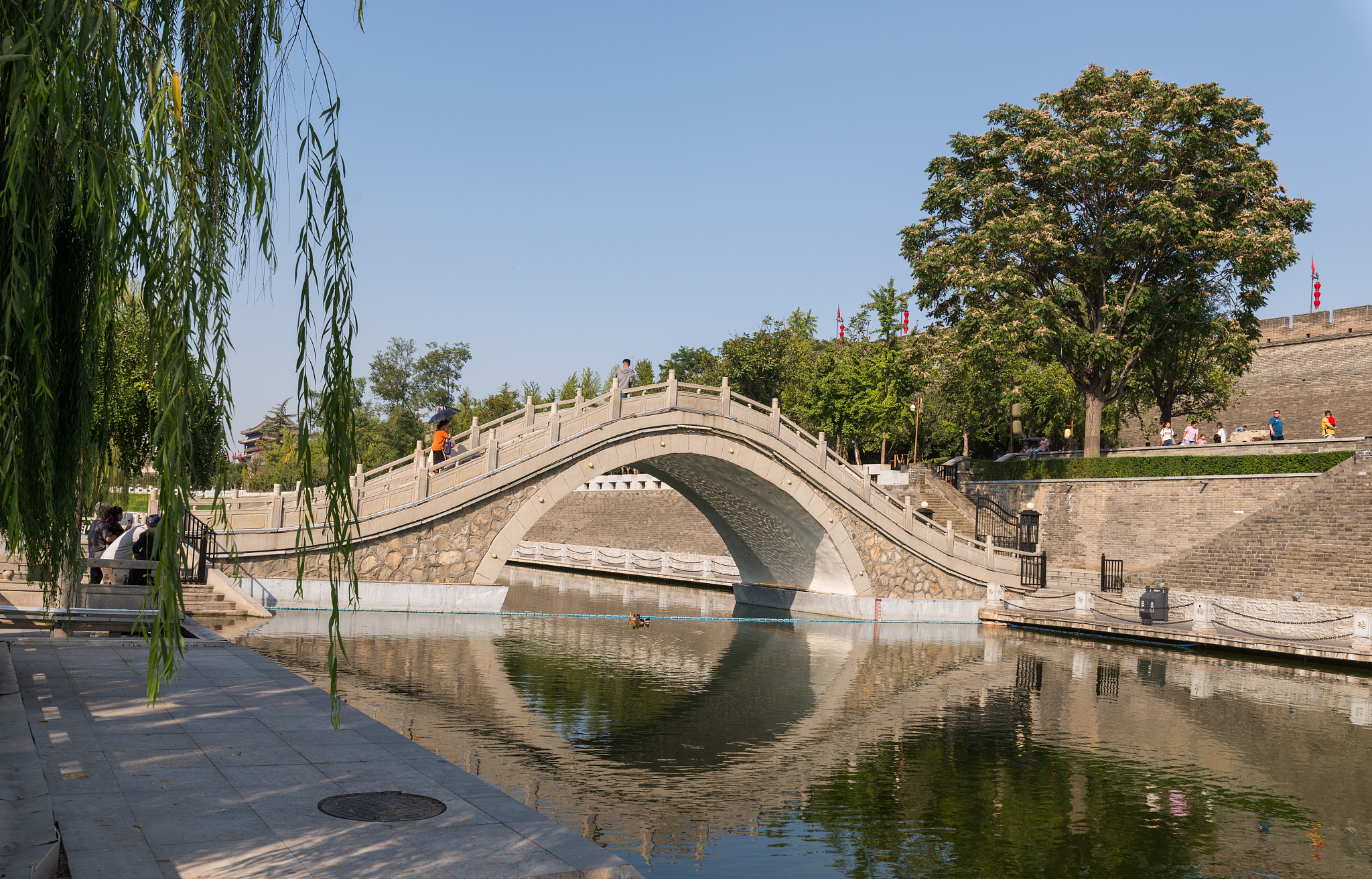 灞桥网红景点图片