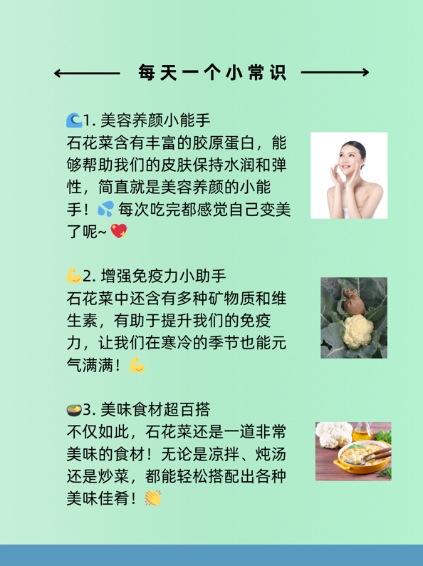 石花菜的功效图片