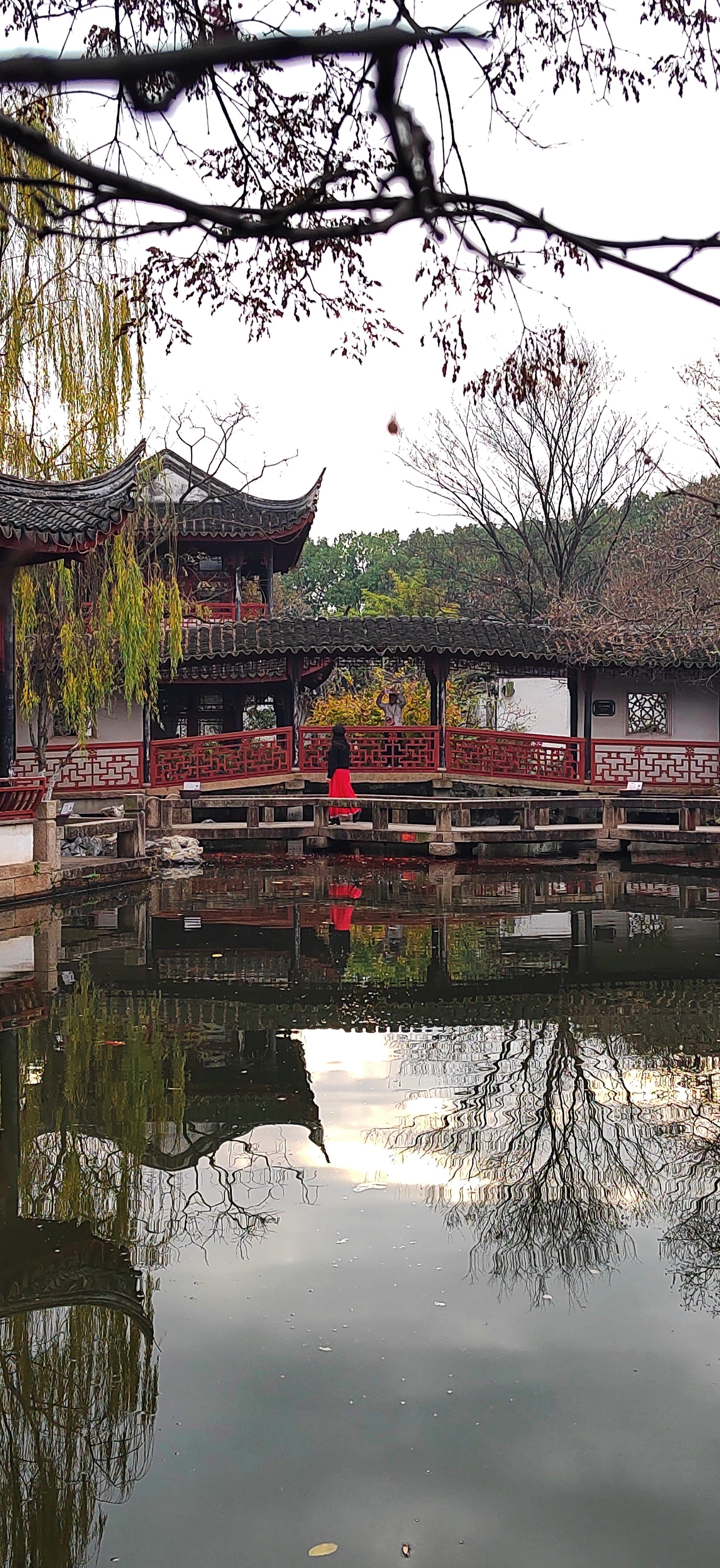 "珍珠塔景区",同里古镇景区,2023.12.24拍摄