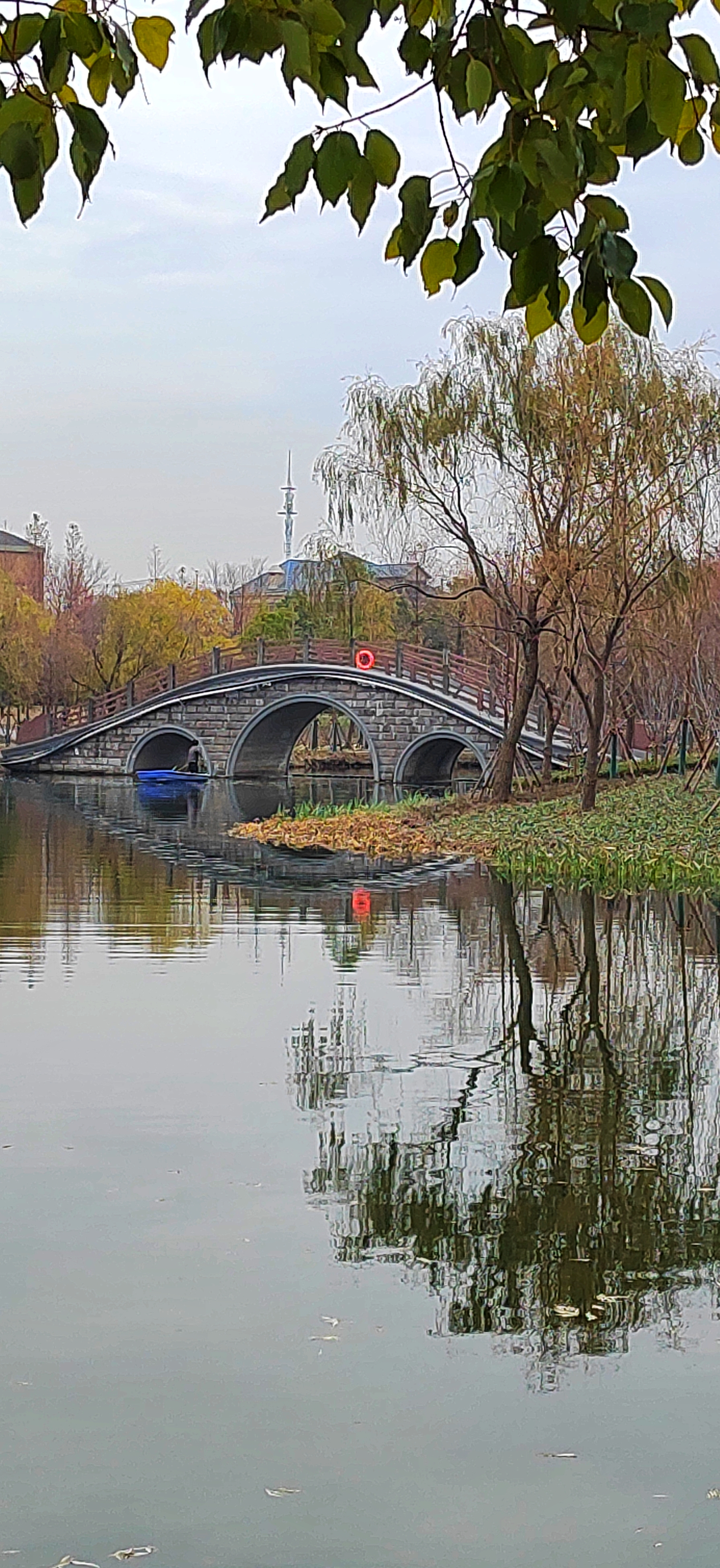 上海金海湿地公园图片