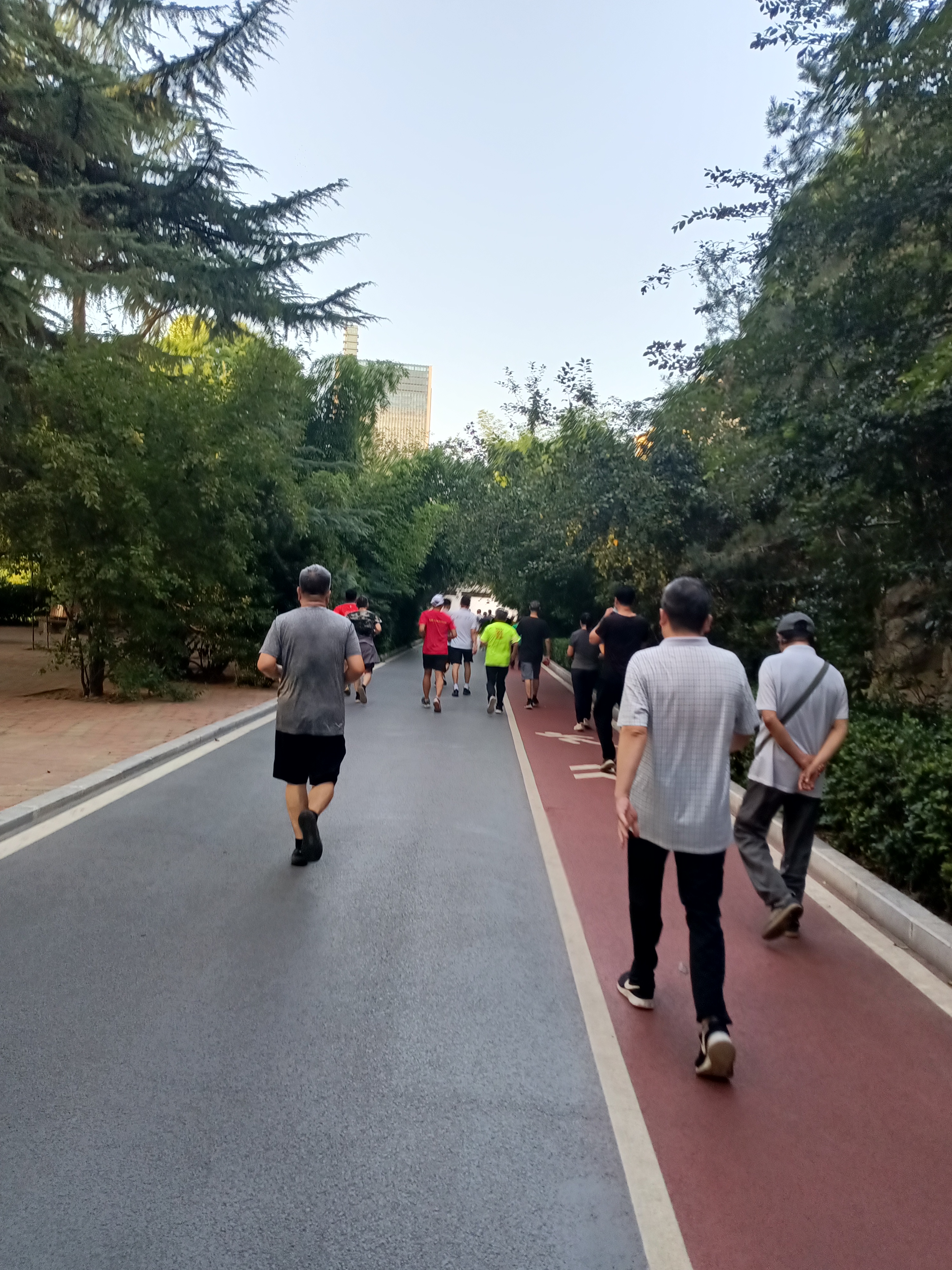 郑州市碧沙岗公园,早上5点30,晨练走起