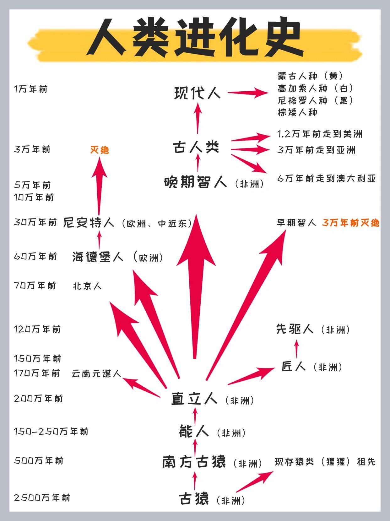 人类进化史