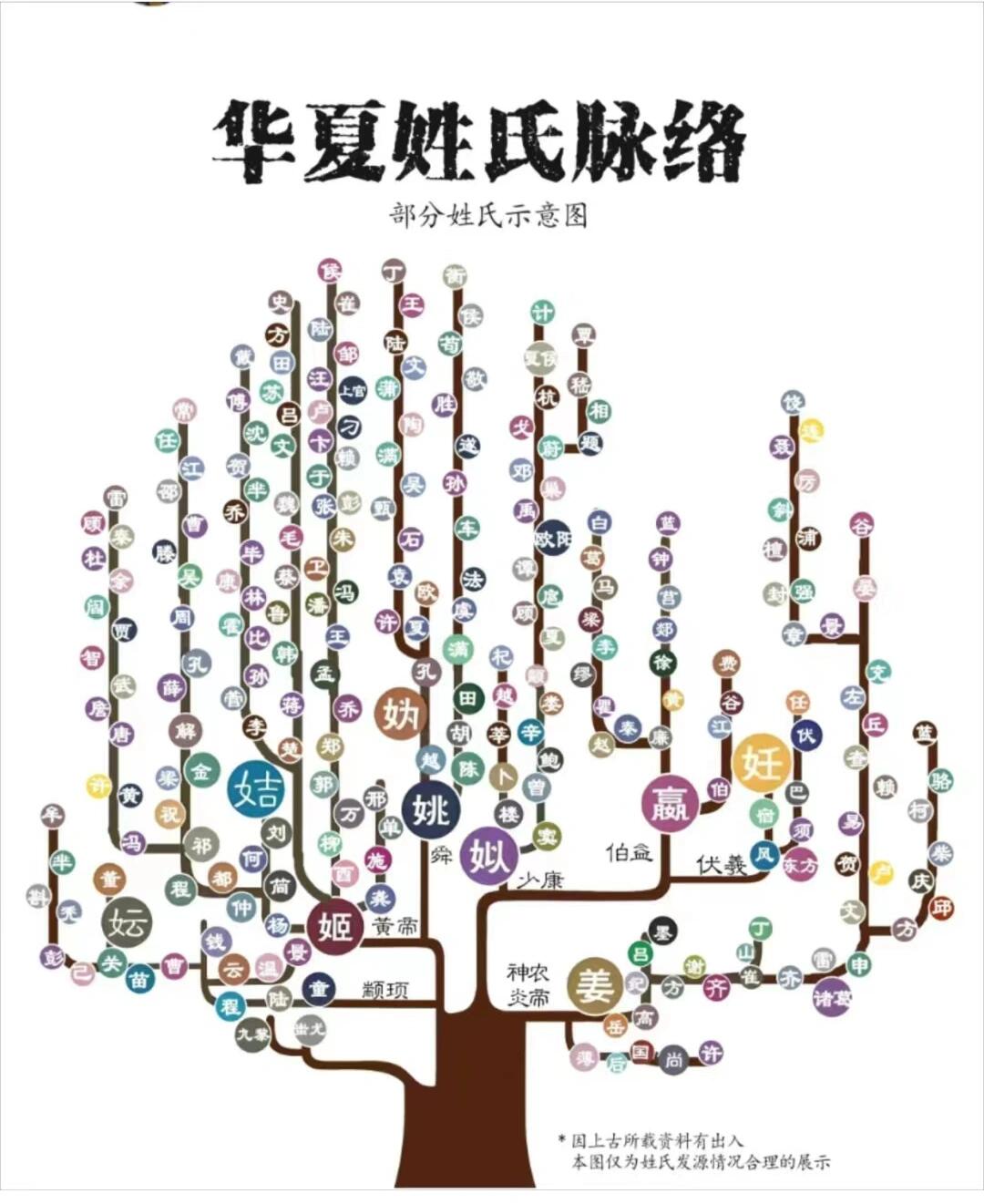 华夏姓氏脉络图