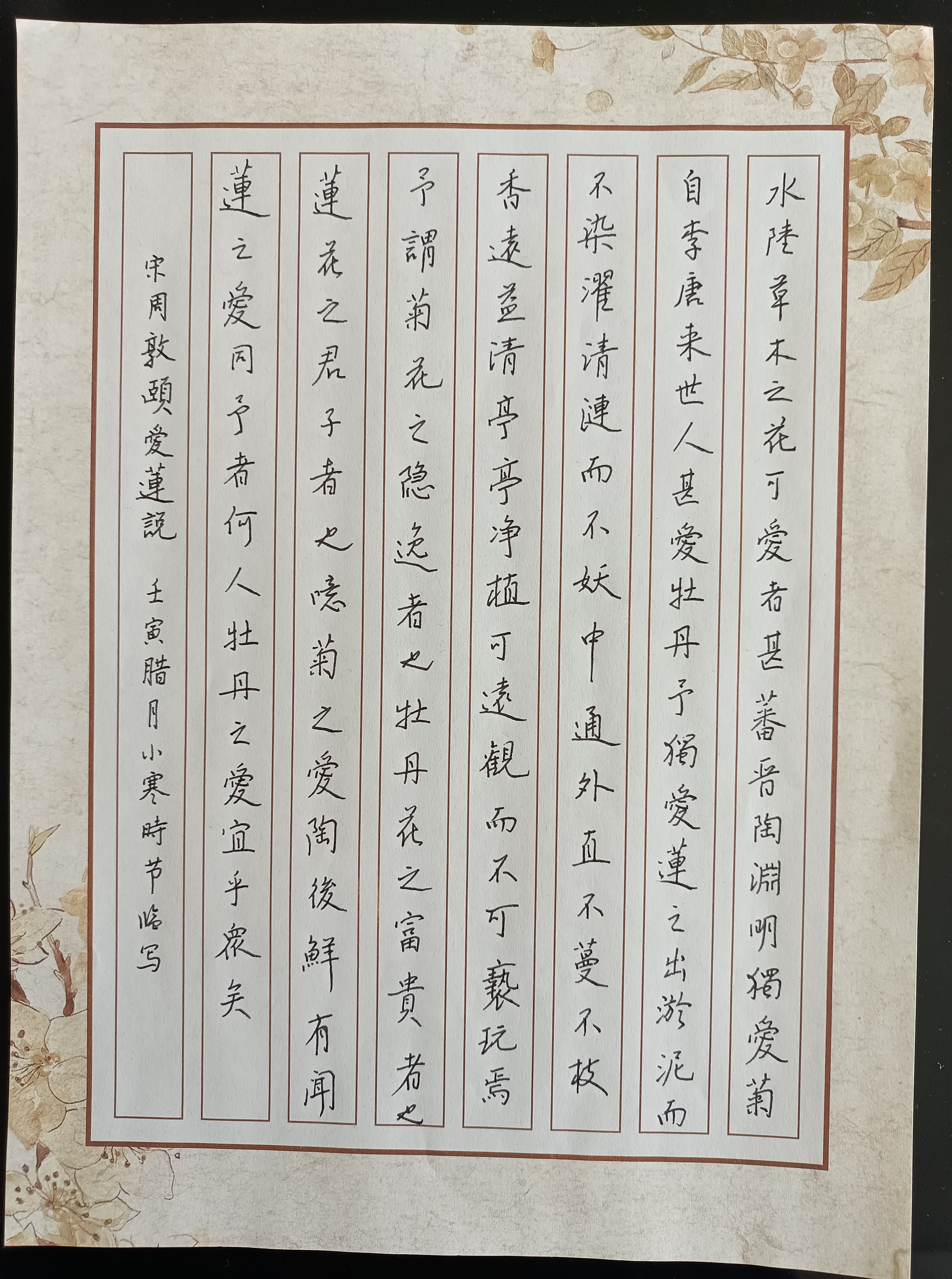 自己写的《爱莲说》