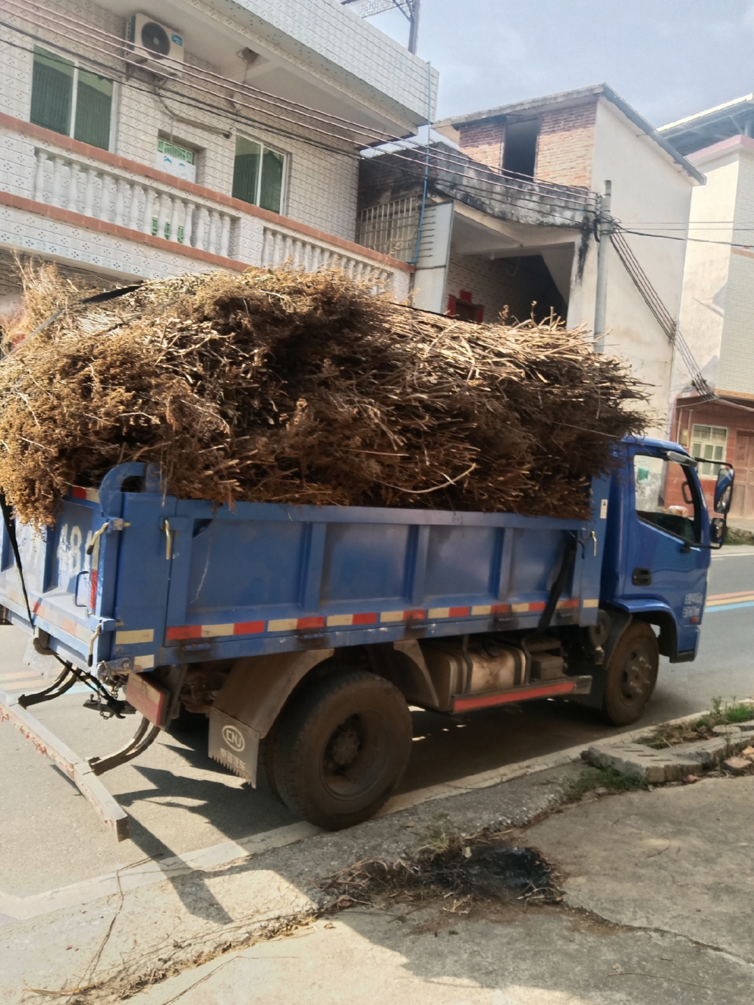 说我们收购了怎么样不让我们農村生活的人的坉片泥头车搬运杂草的照片