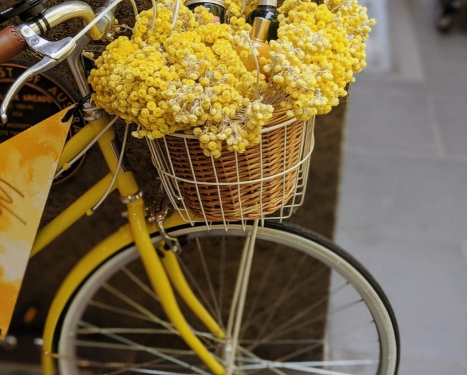 星期日 2022年02月13 爱惜那在忙碌的生活之中,浮到心头又复随即消去