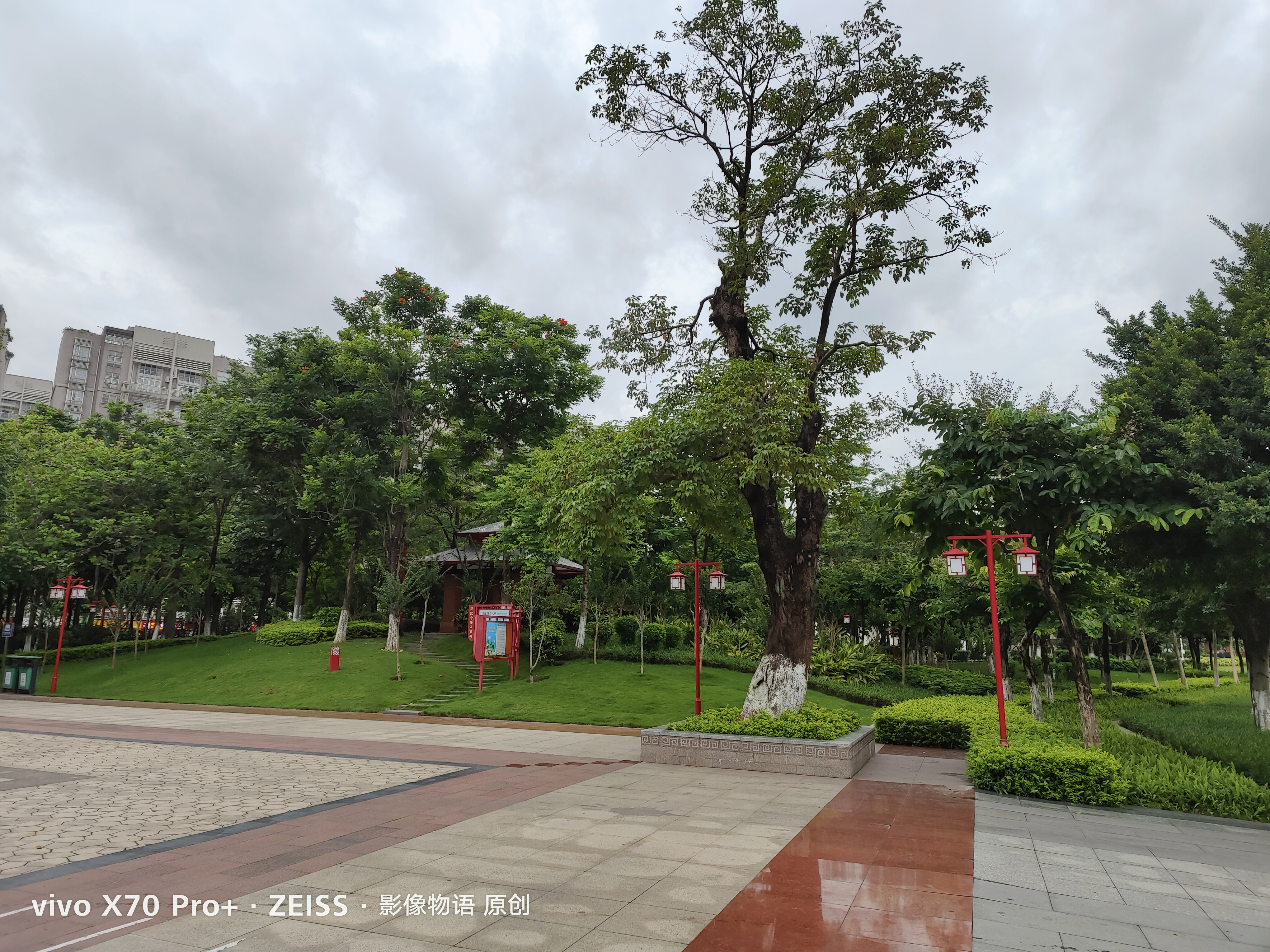 南海夏北小学图片