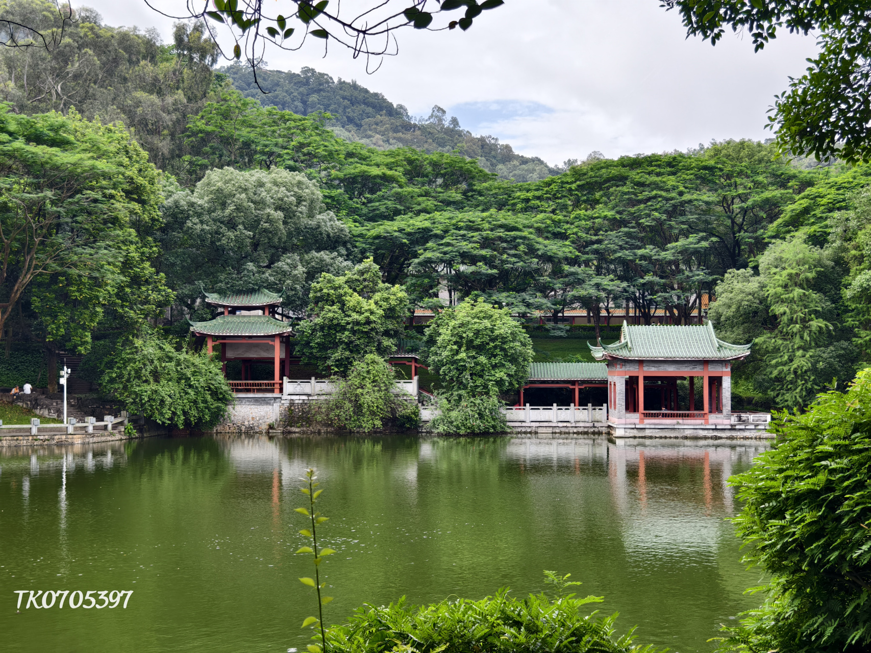 东莞市旗峰公园图片图片