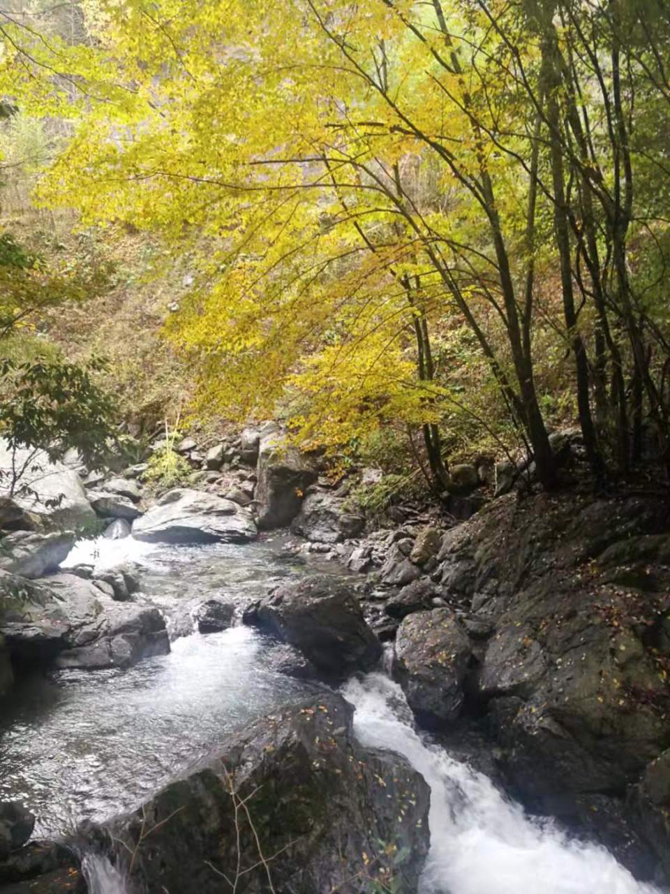 文学 艅艎何泛泛,空水共悠悠 阴霞生远岫,阳景逐回流.