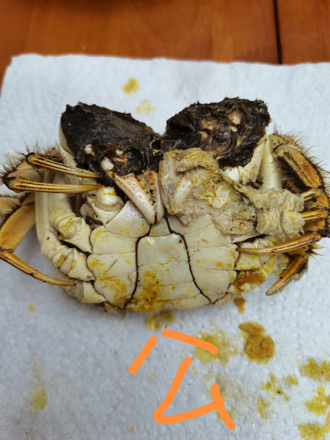 终于搞清了哪个是公蟹,哪个是母蟹.公蟹是尖脐,母蟹是圆脐