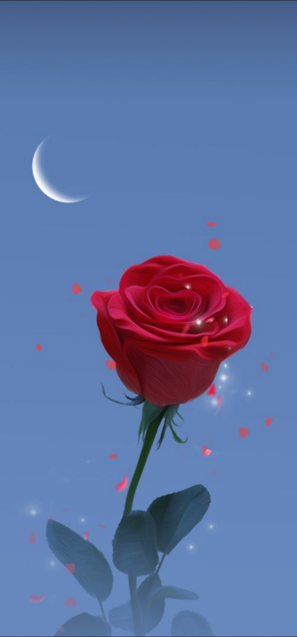 透过开满鲜花的月亮,依稀看到你的模样,那层幽蓝幽蓝的眼神,充满神秘