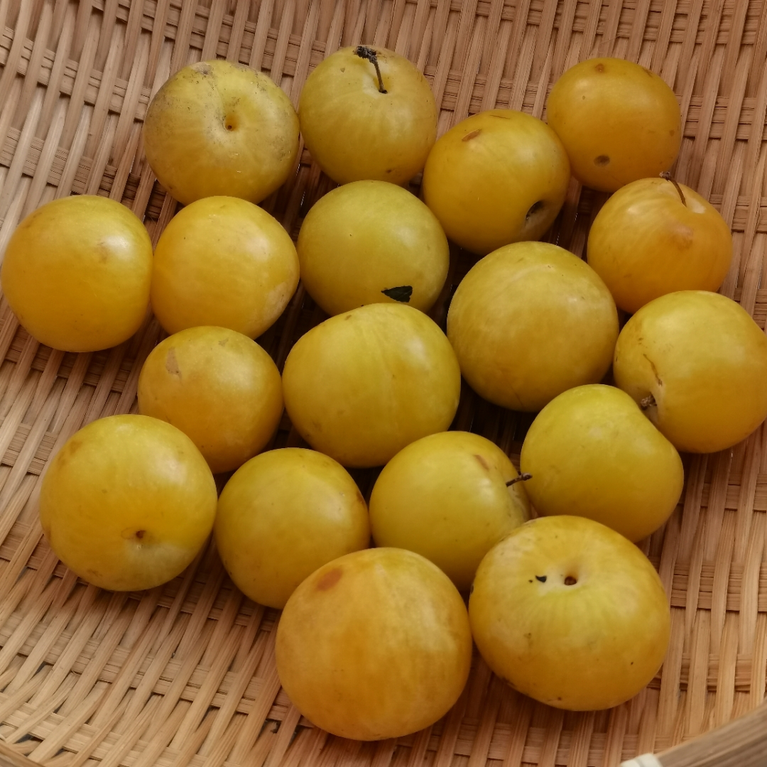 起大早赶到临时的集市上,就是为了寻觅到自产自销的蔬果