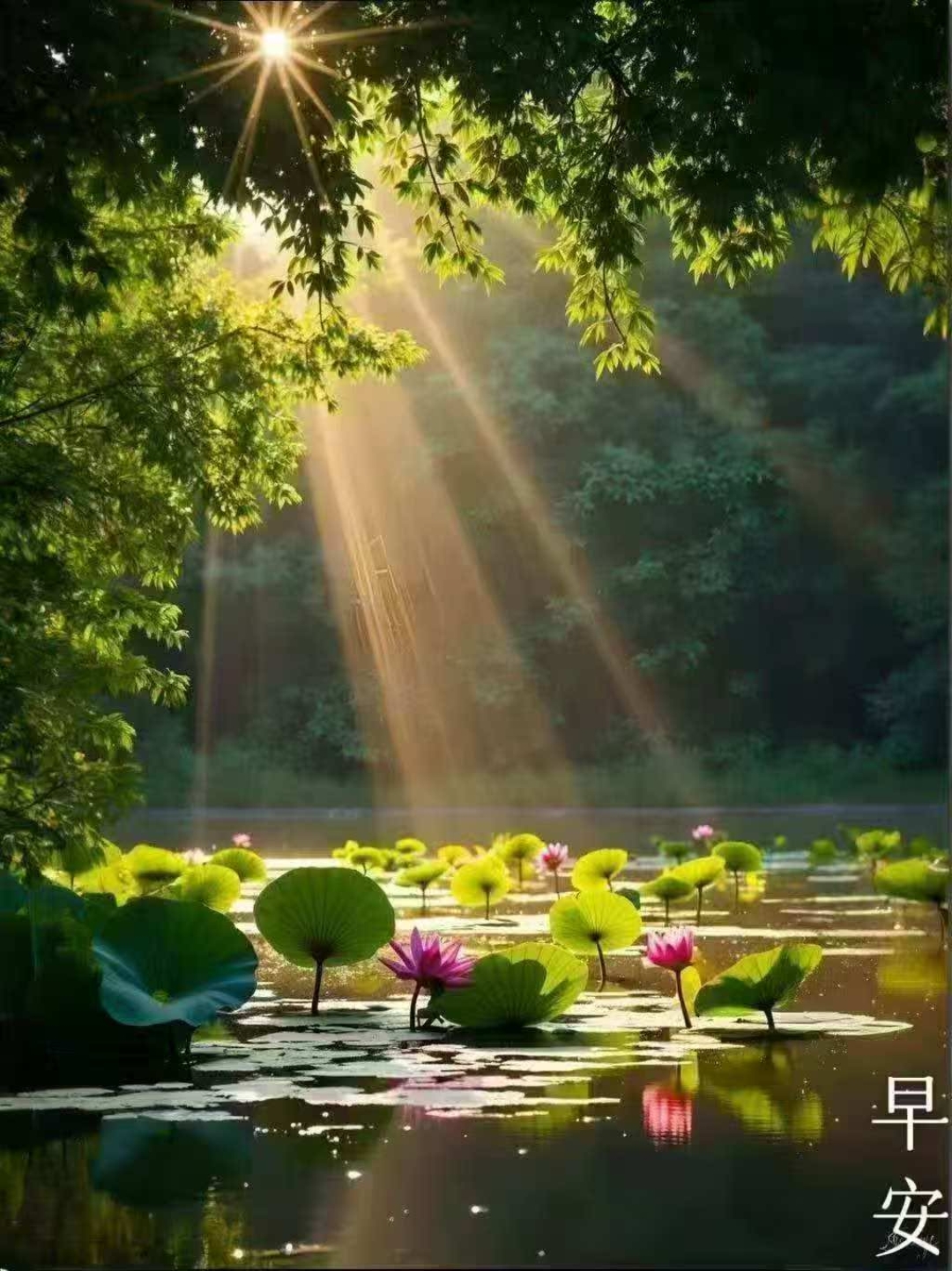 作者:李佳琴 配图:隋新梅