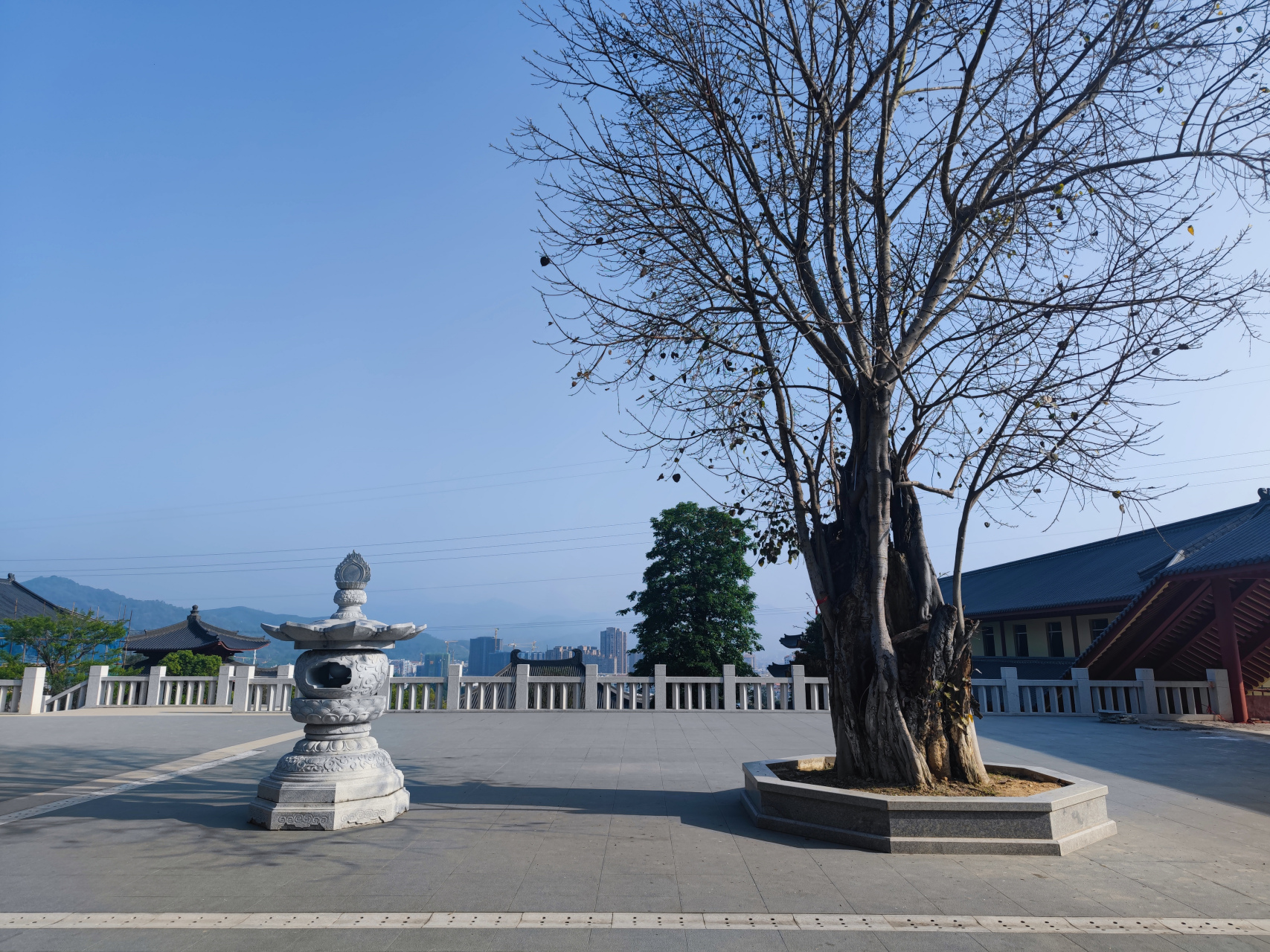 南靖紫云寺 与著名中医陈火静医生在一起