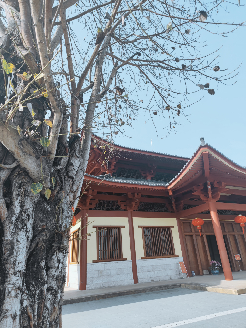 南靖紫云寺 与著名中医陈火静医生在一起