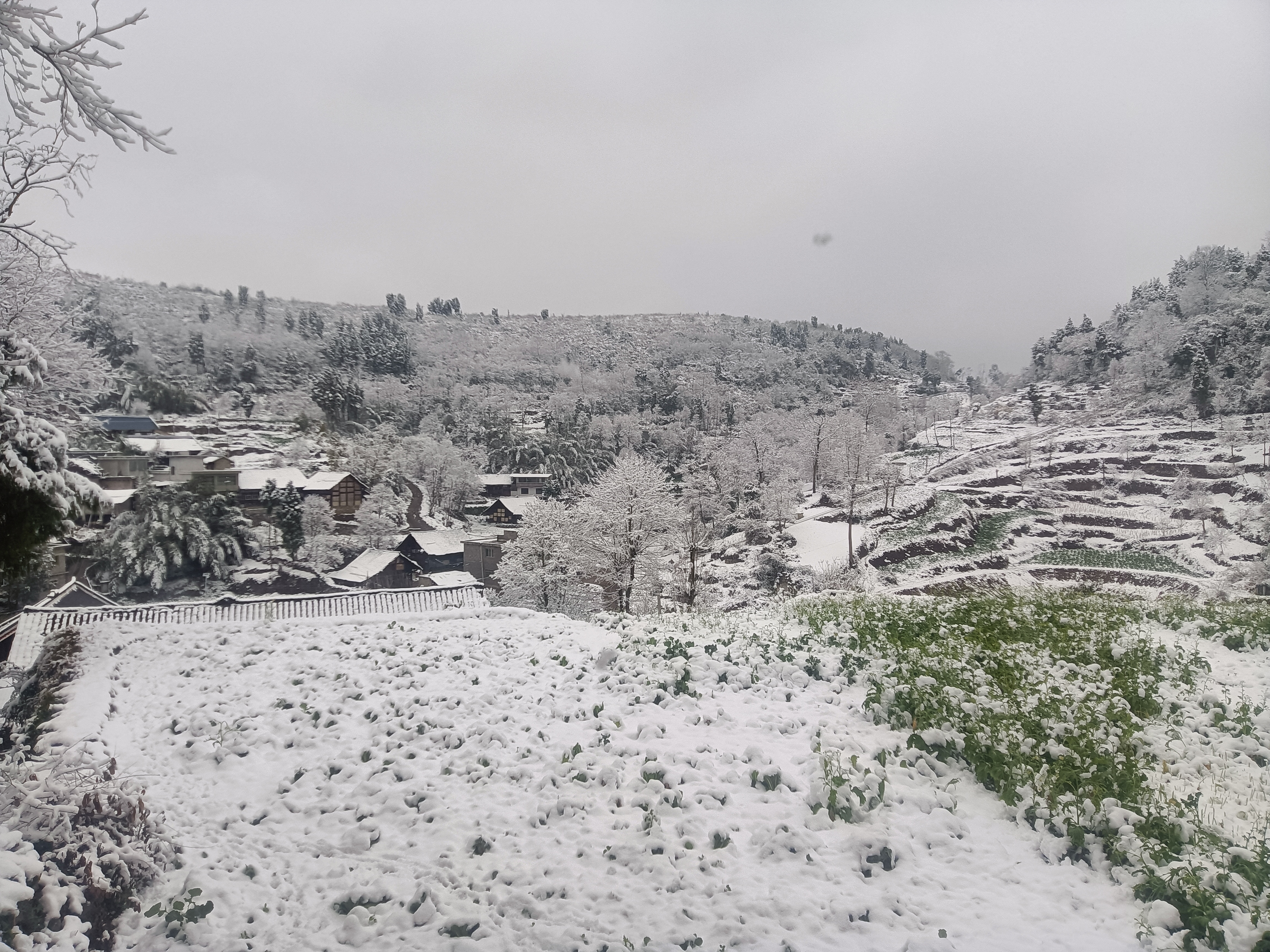 乡村小雪纷纷图片图片