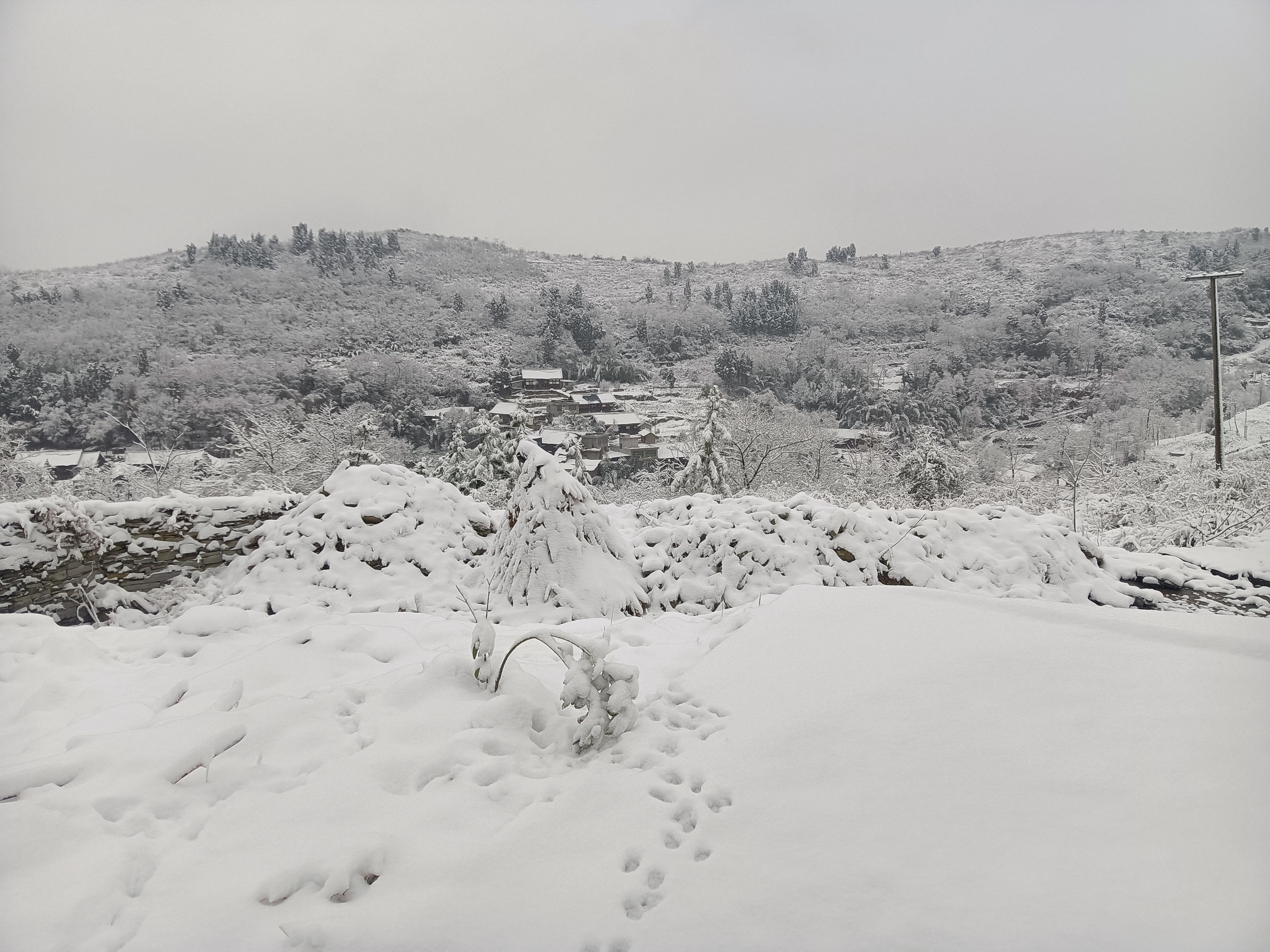 池店镇下雪图片