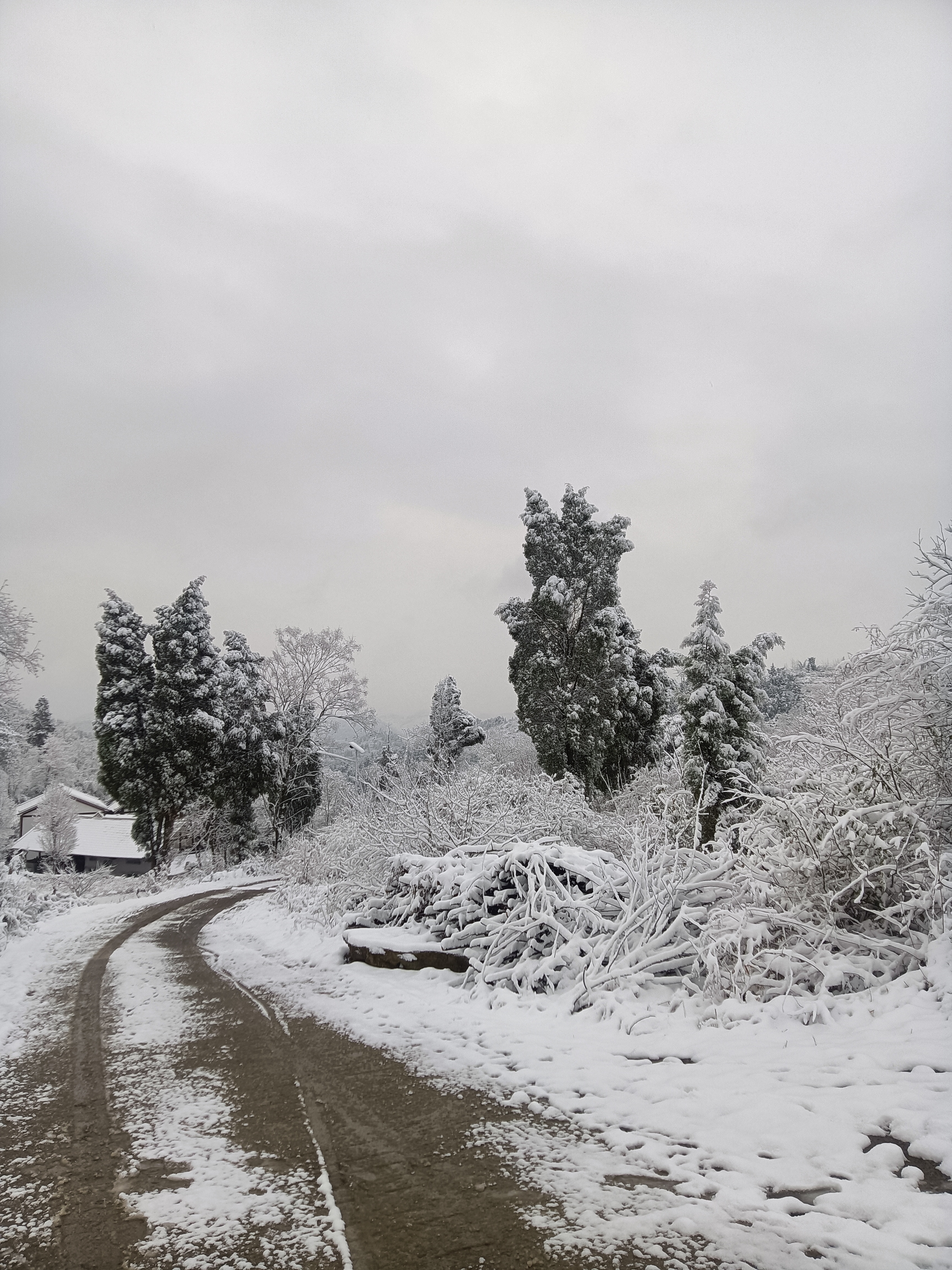 农村下雪照片图片