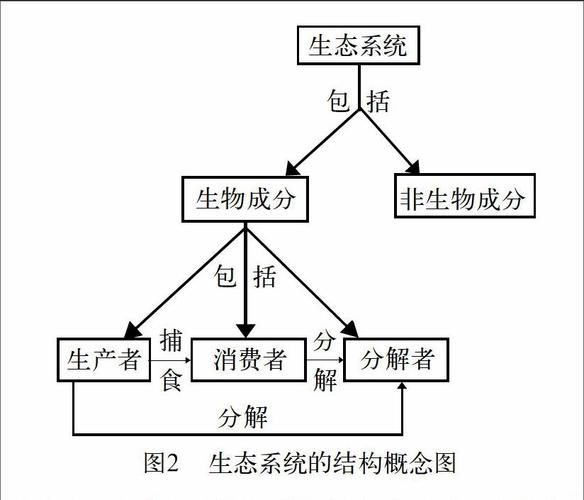 概念图策略名词解释图片