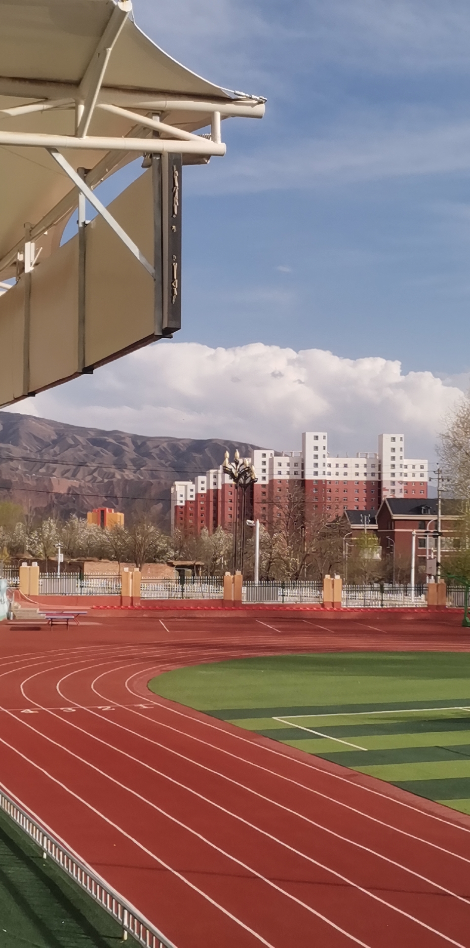 一个没有安全感的我,一颗无处安放的心,一抹藏不