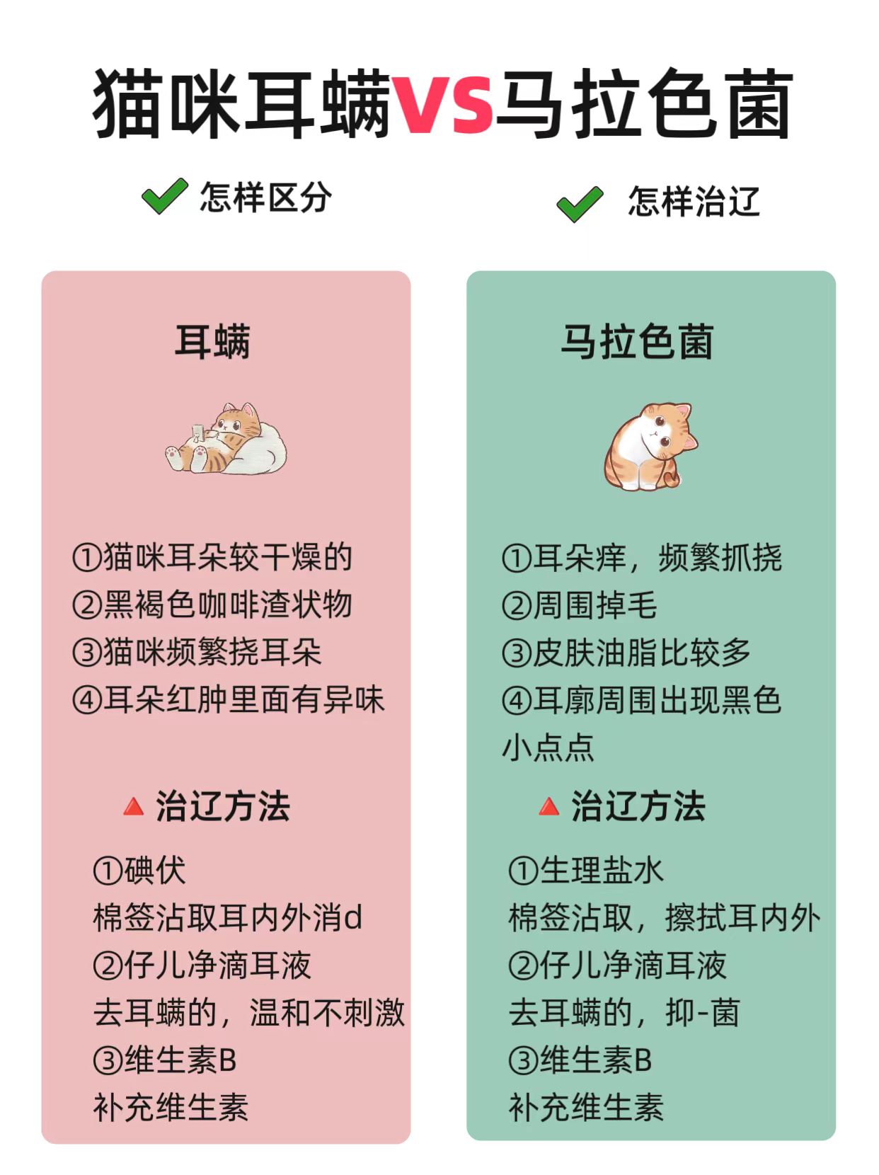 怎样区分猫咪耳螨和马拉色菌(附治辽方法) #猫咪# #新手养猫# #科学养