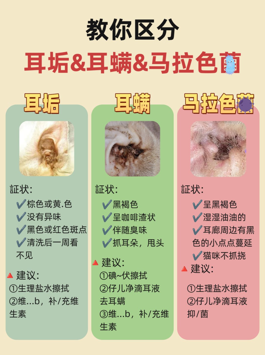 教你区分耳垢&耳螨&马拉色菌(附方法)#猫咪# #新手养猫# #猫咪耳螨