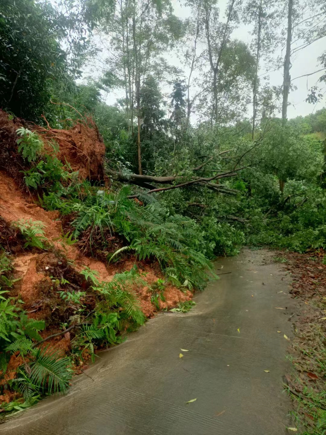 广西容县罗江镇,最近连续下雨发生自然灾害,道路被封,车成水上漂,生活