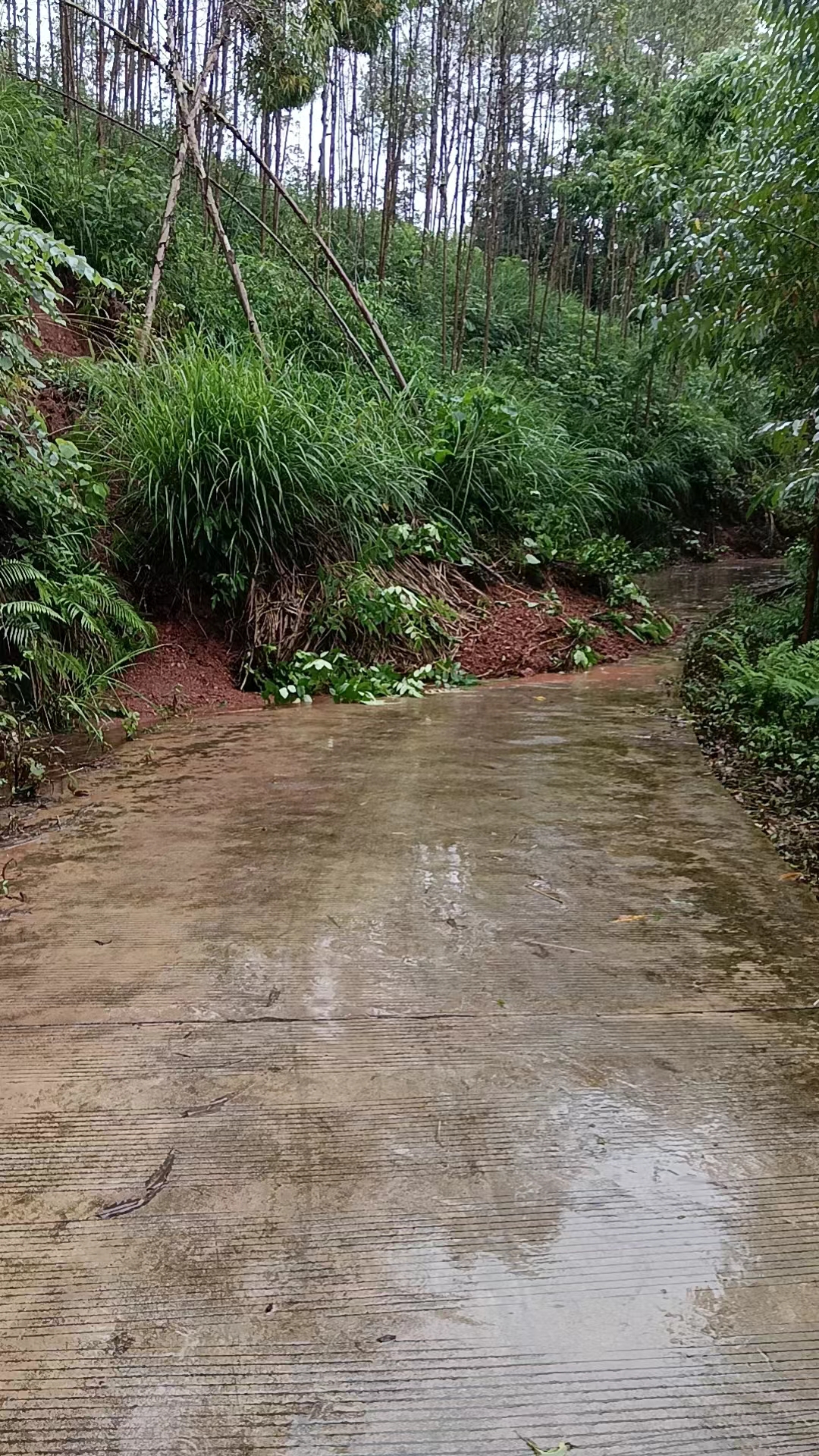 广西容县罗江镇,最近连续下雨发生自然灾害,道路被封,车成水上漂,生活